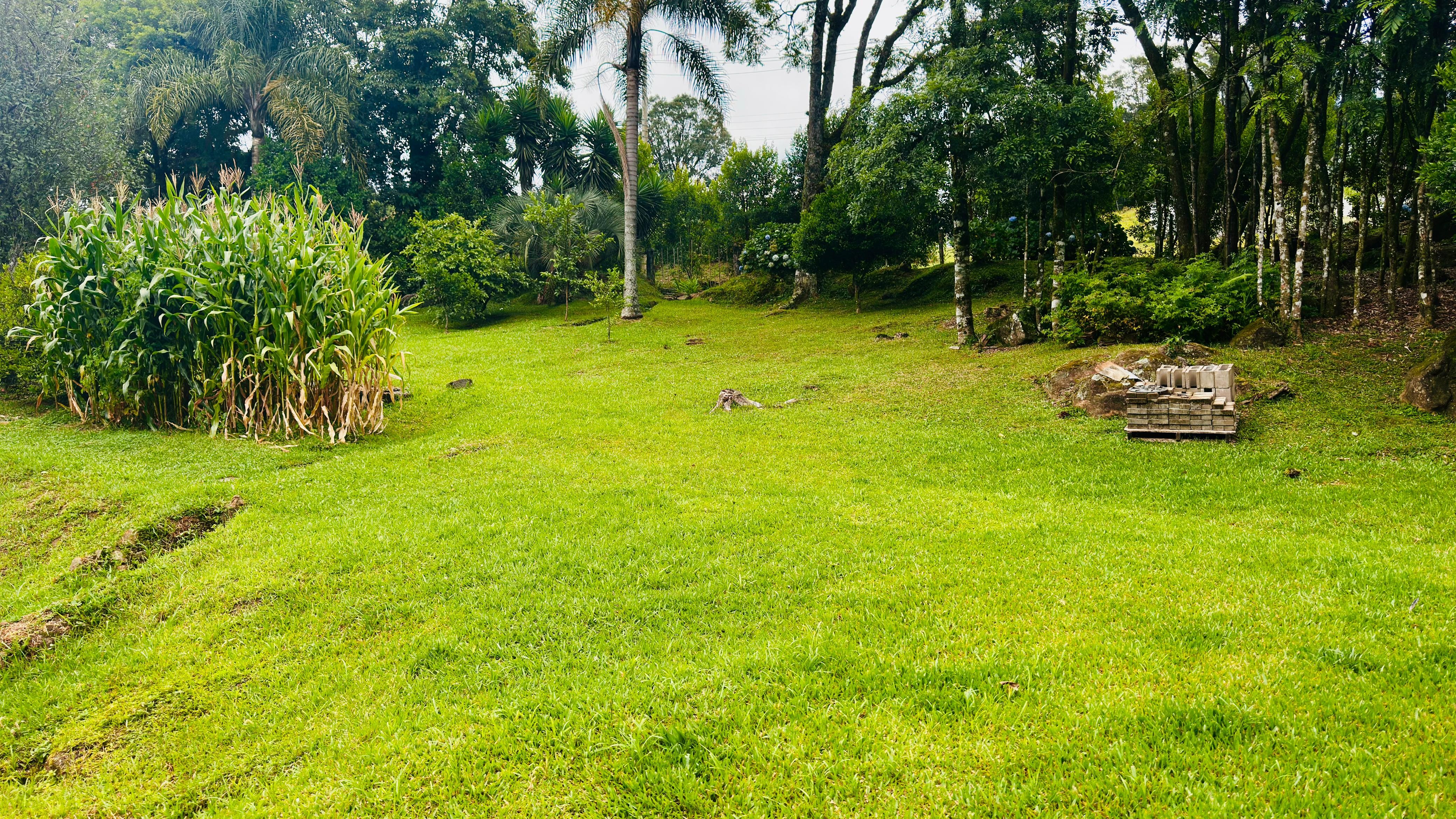 Sítio / Chácara 2 quartos para Venda no bairro Padre Eterno Ilges em Santa Maria do Herval