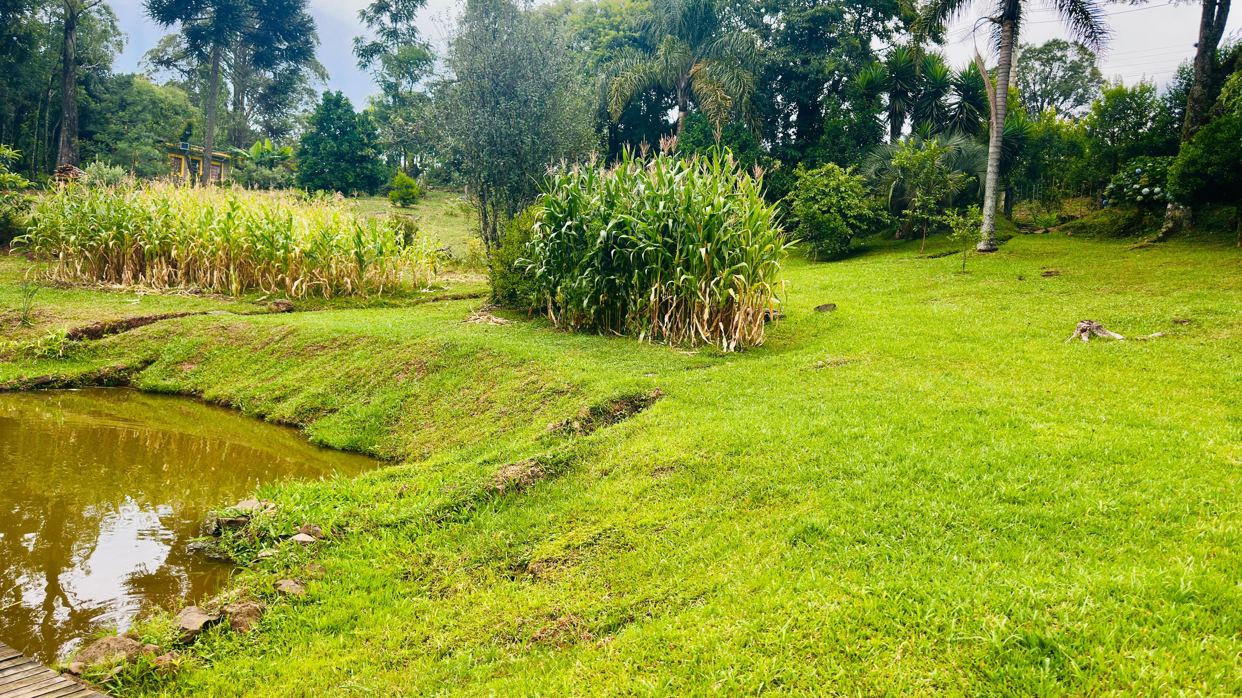 Sítio / Chácara 2 quartos para Venda no bairro Padre Eterno Ilges em Santa Maria do Herval