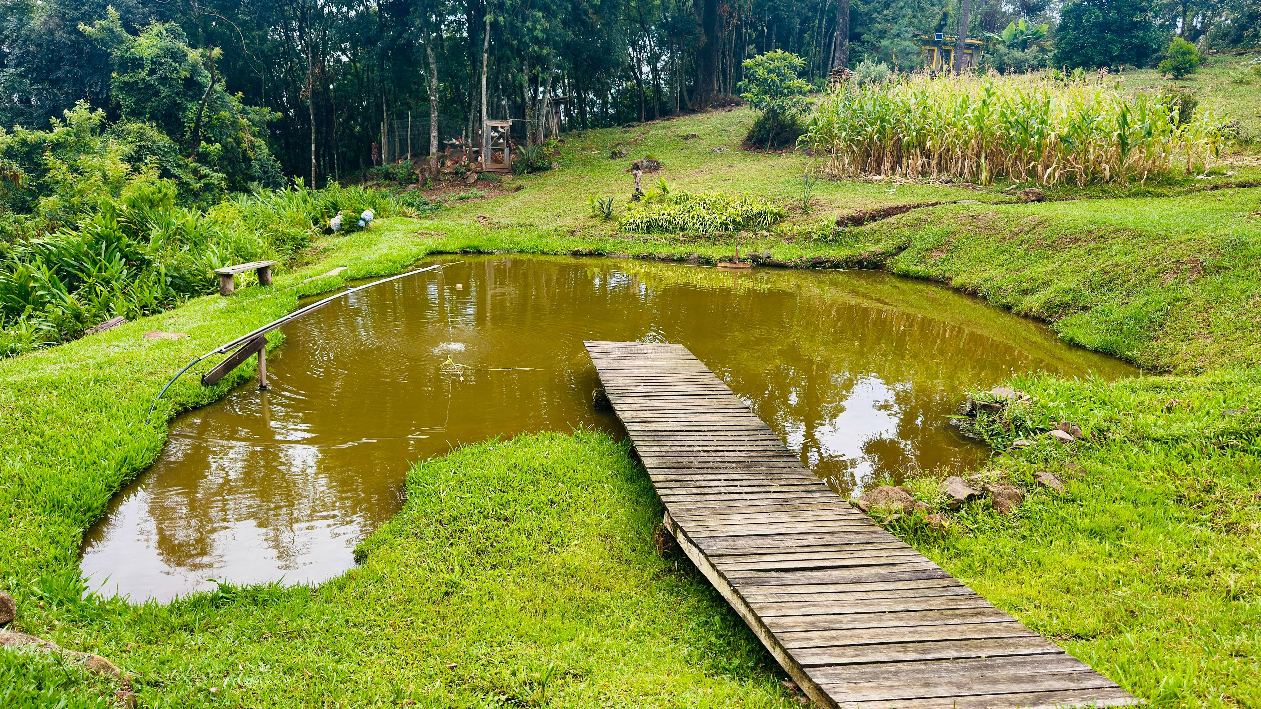 Sítio / Chácara 2 quartos para Venda no bairro Padre Eterno Ilges em Santa Maria do Herval