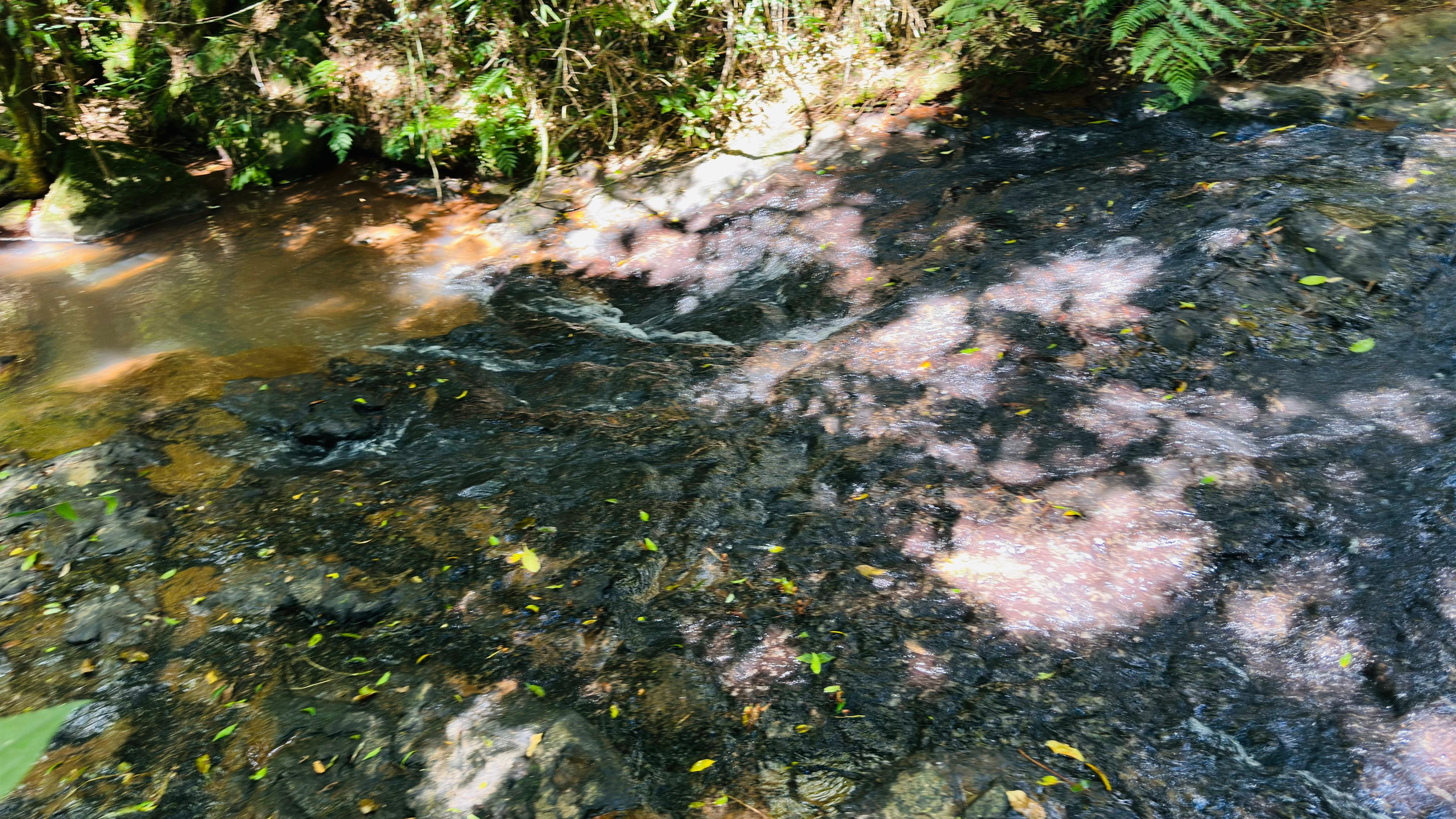 Sítio / Chácara para Venda no bairro Alto Padre Eterno em Santa Maria do Herval