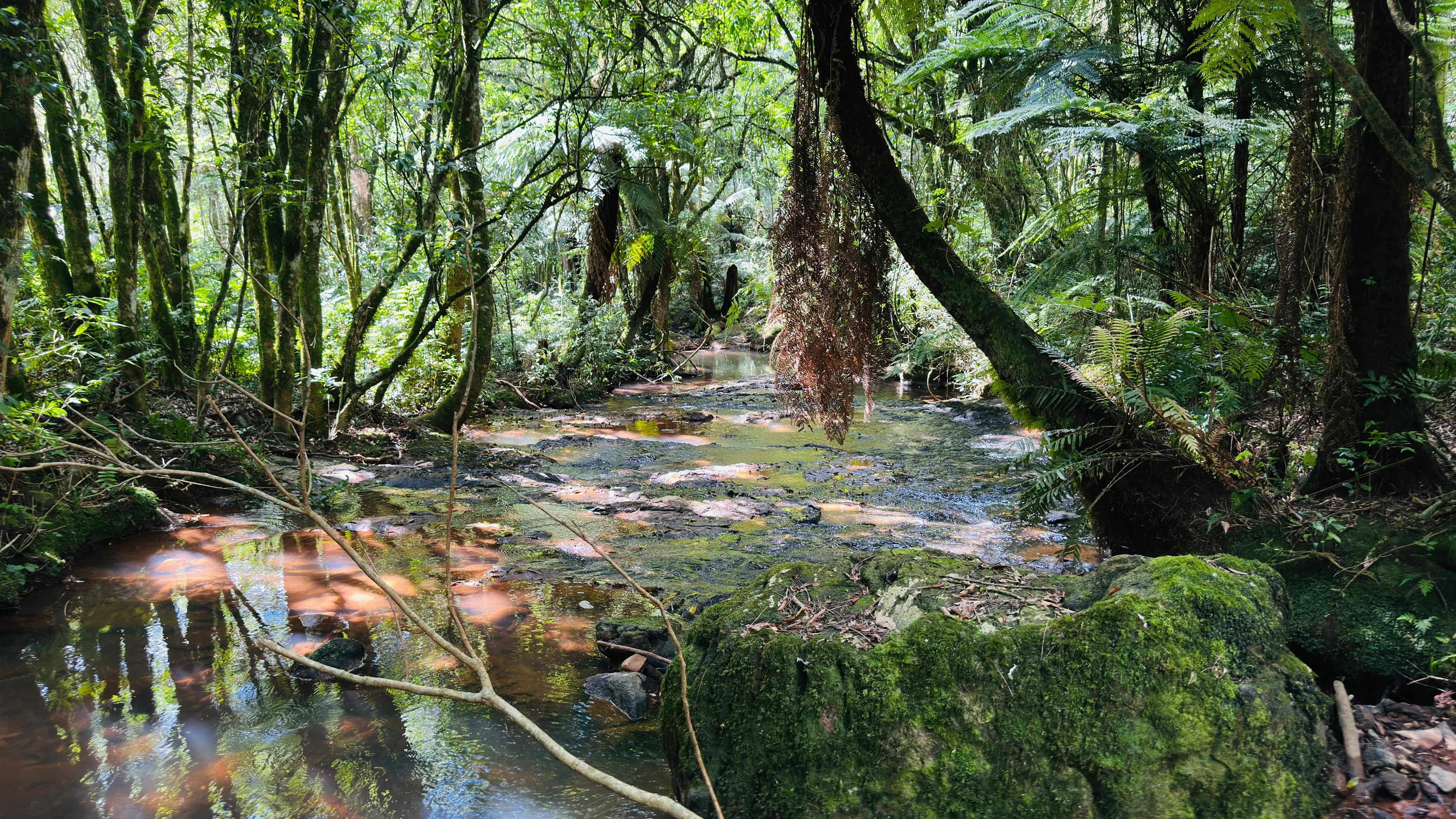 Sítio / Chácara para Venda no bairro Alto Padre Eterno em Santa Maria do Herval