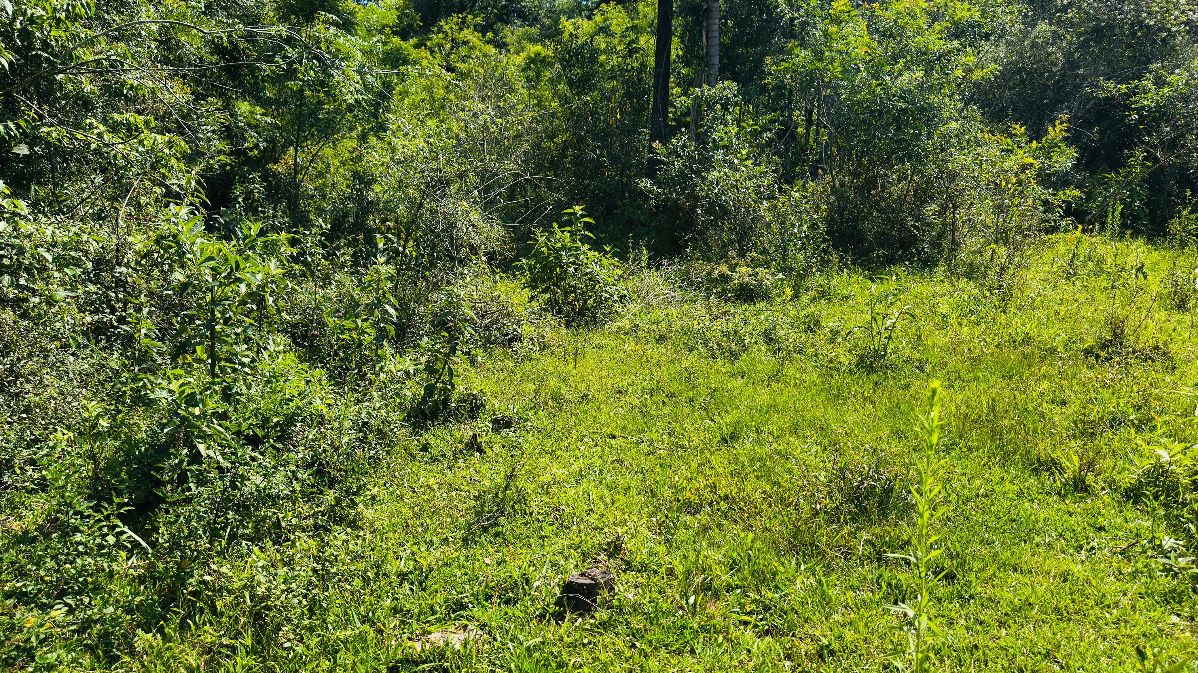 Sítio / Chácara para Venda no bairro Alto Padre Eterno em Santa Maria do Herval