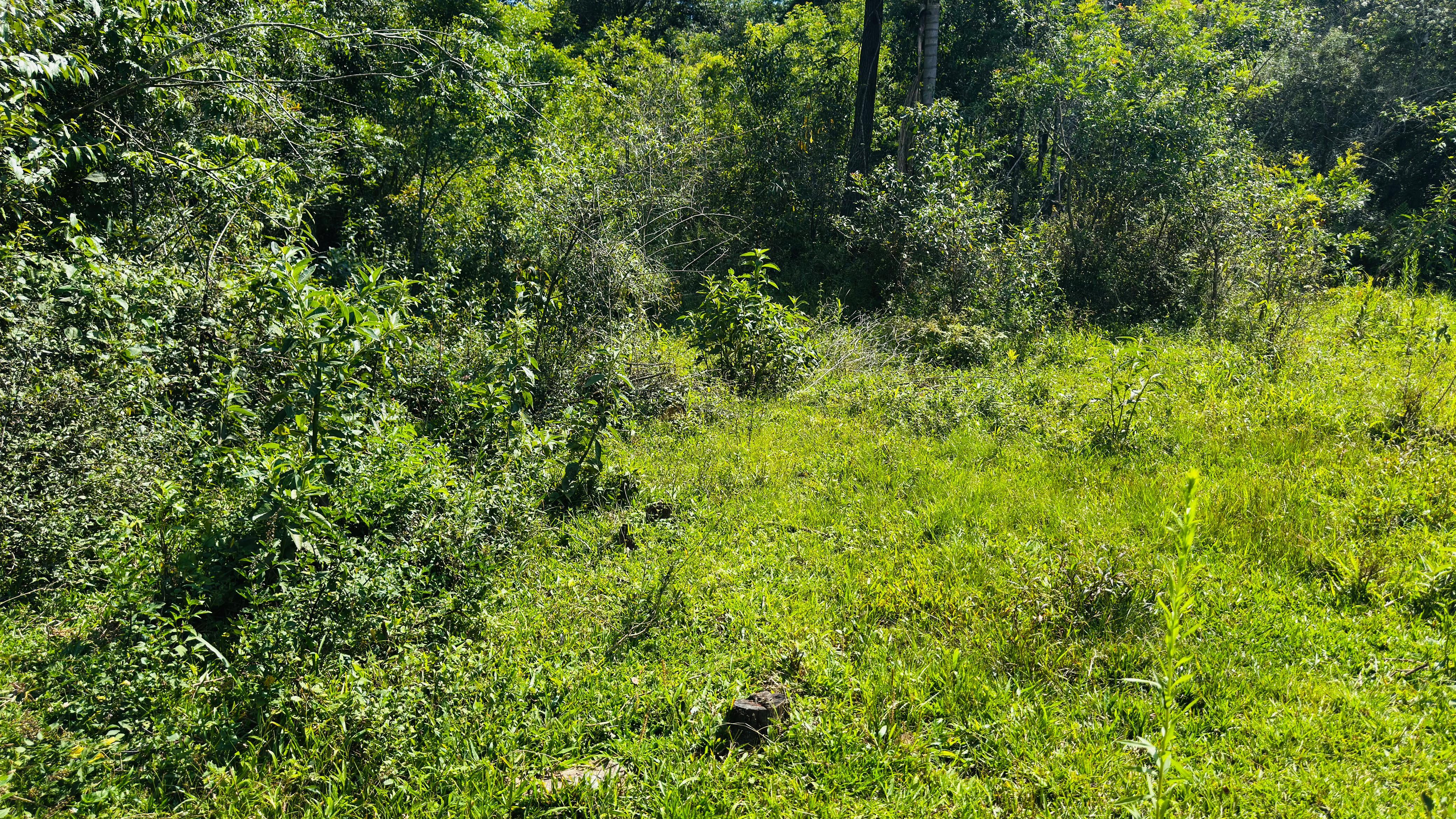 Sítio / Chácara para Venda no bairro Alto Padre Eterno em Santa Maria do Herval