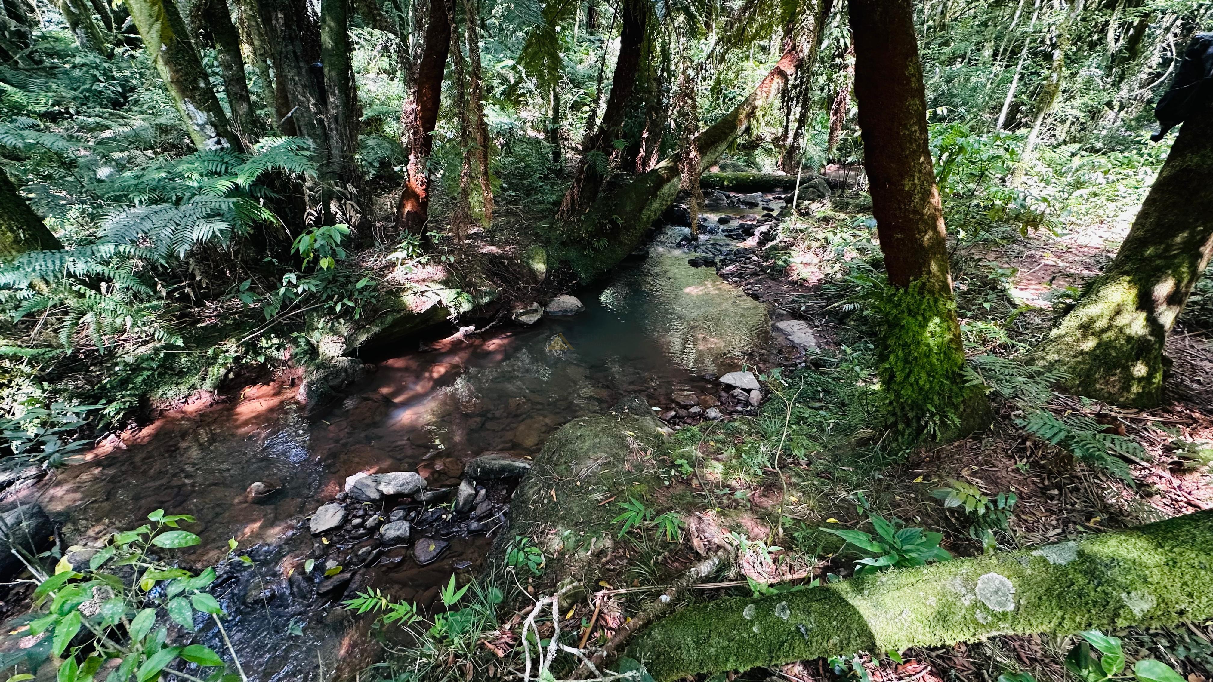 Sítio / Chácara para Venda no bairro Alto Padre Eterno em Santa Maria do Herval