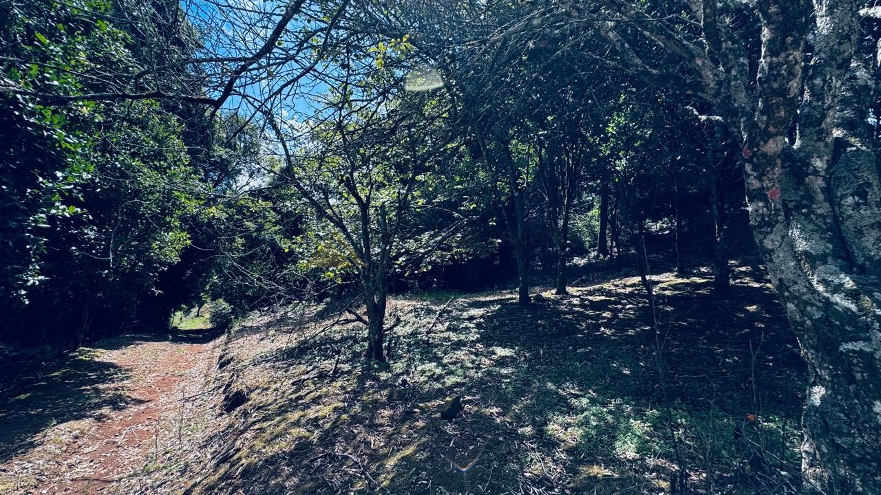 Sítio / Chácara 2 quartos para Venda no bairro Alto Padre Eterno em Santa Maria do Herval