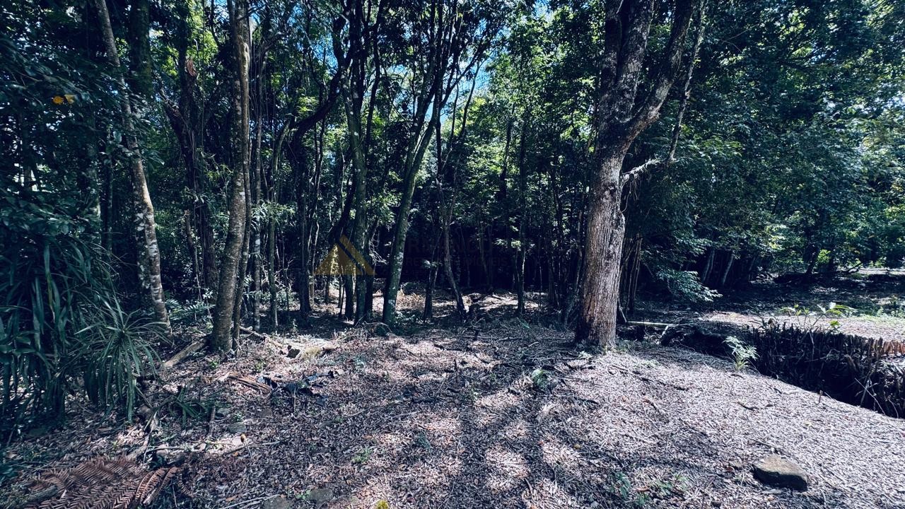 Sítio / Chácara 2 quartos para Venda no bairro Alto Padre Eterno em Santa Maria do Herval