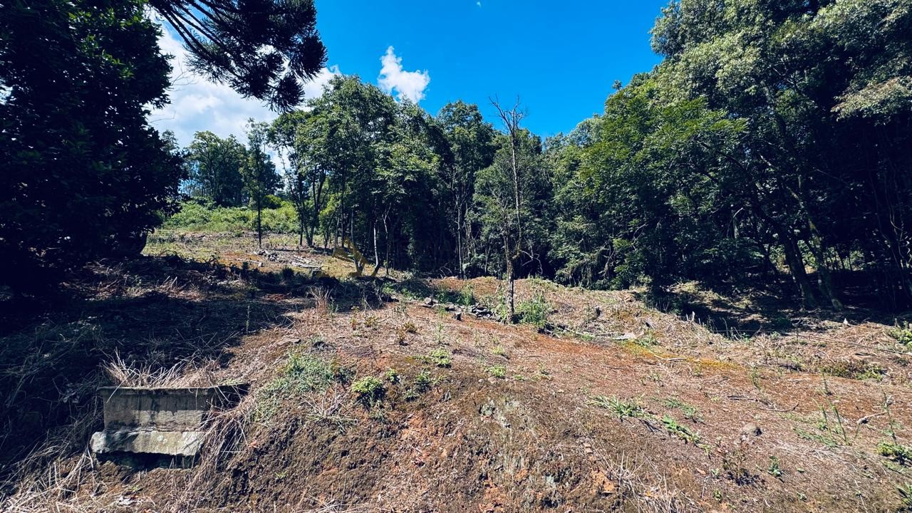 Sítio / Chácara 2 quartos para Venda no bairro Alto Padre Eterno em Santa Maria do Herval