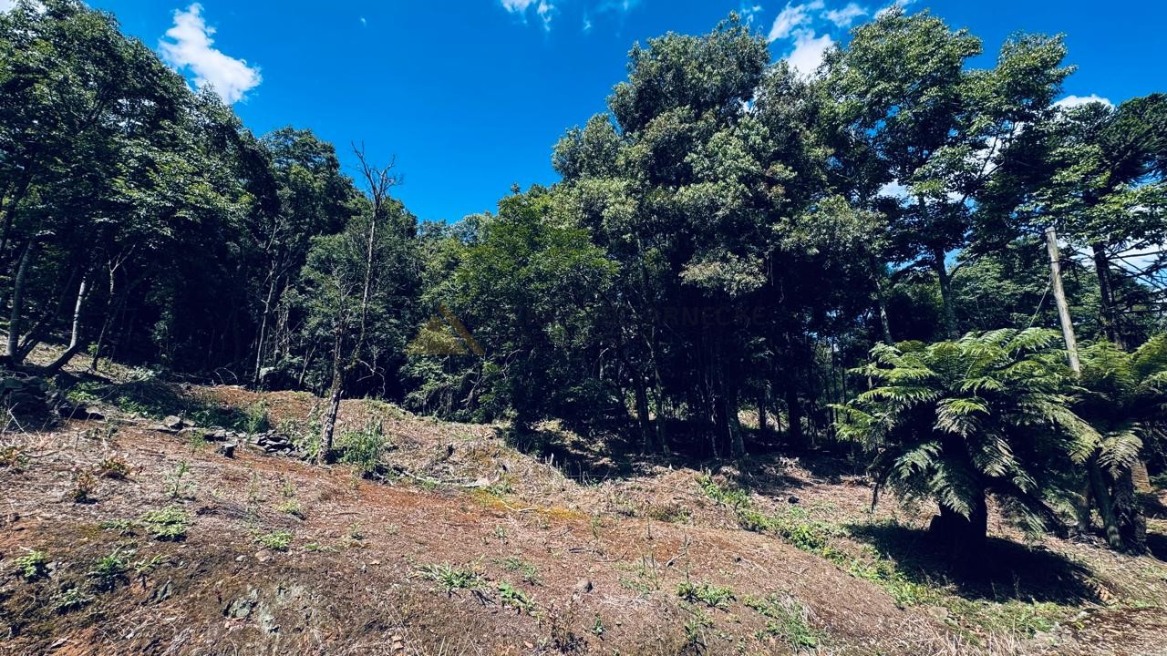 Sítio / Chácara 2 quartos para Venda no bairro Alto Padre Eterno em Santa Maria do Herval