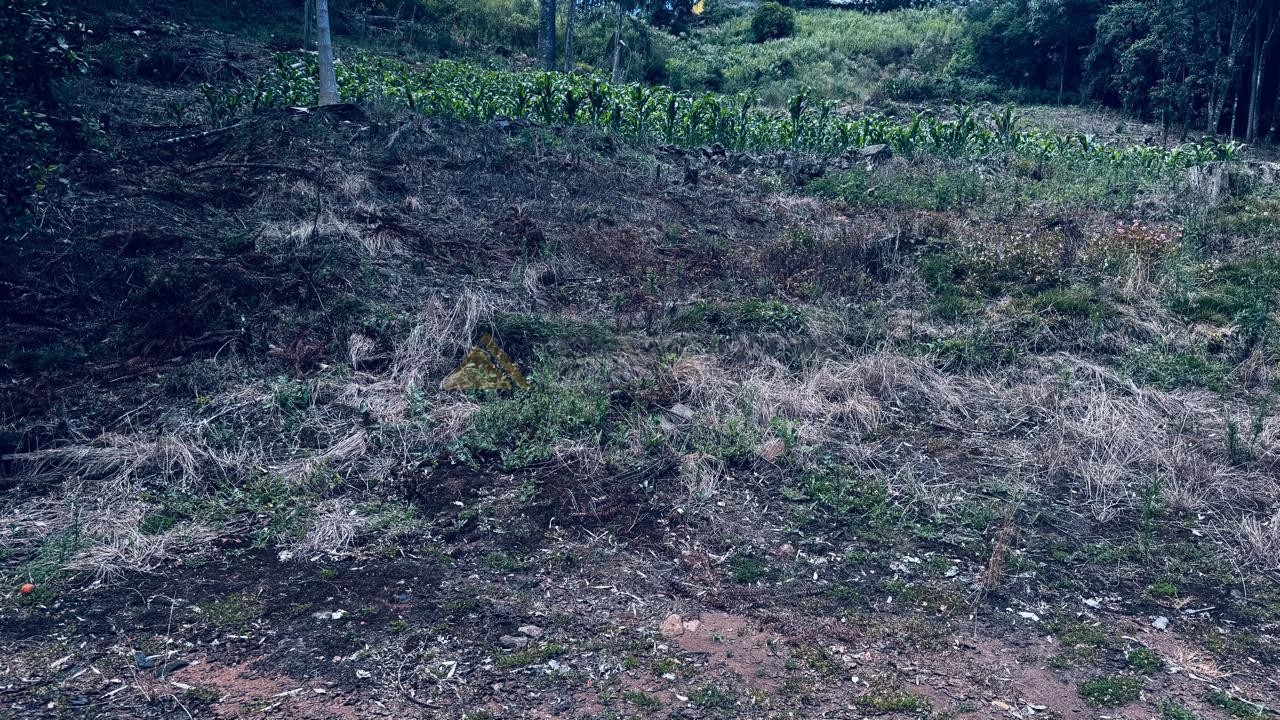 Sítio / Chácara 2 quartos para Venda no bairro Alto Padre Eterno em Santa Maria do Herval