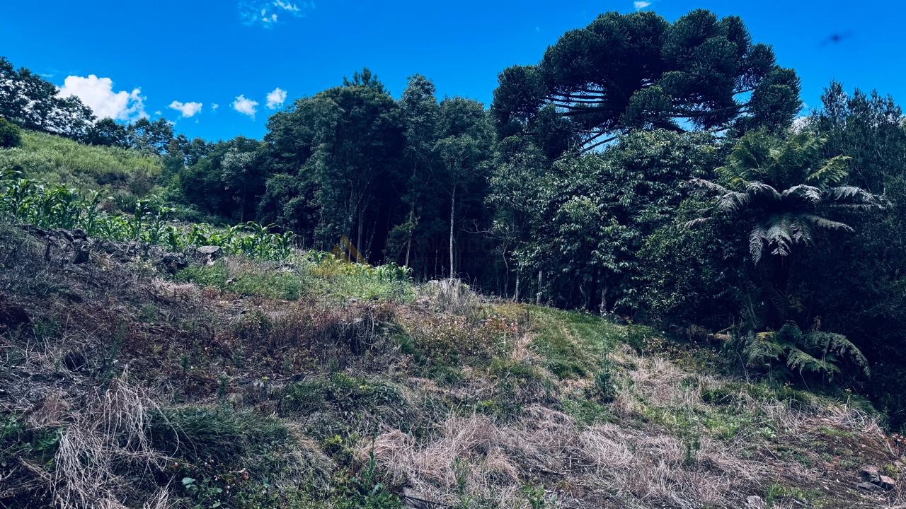 Sítio / Chácara 2 quartos para Venda no bairro Alto Padre Eterno em Santa Maria do Herval