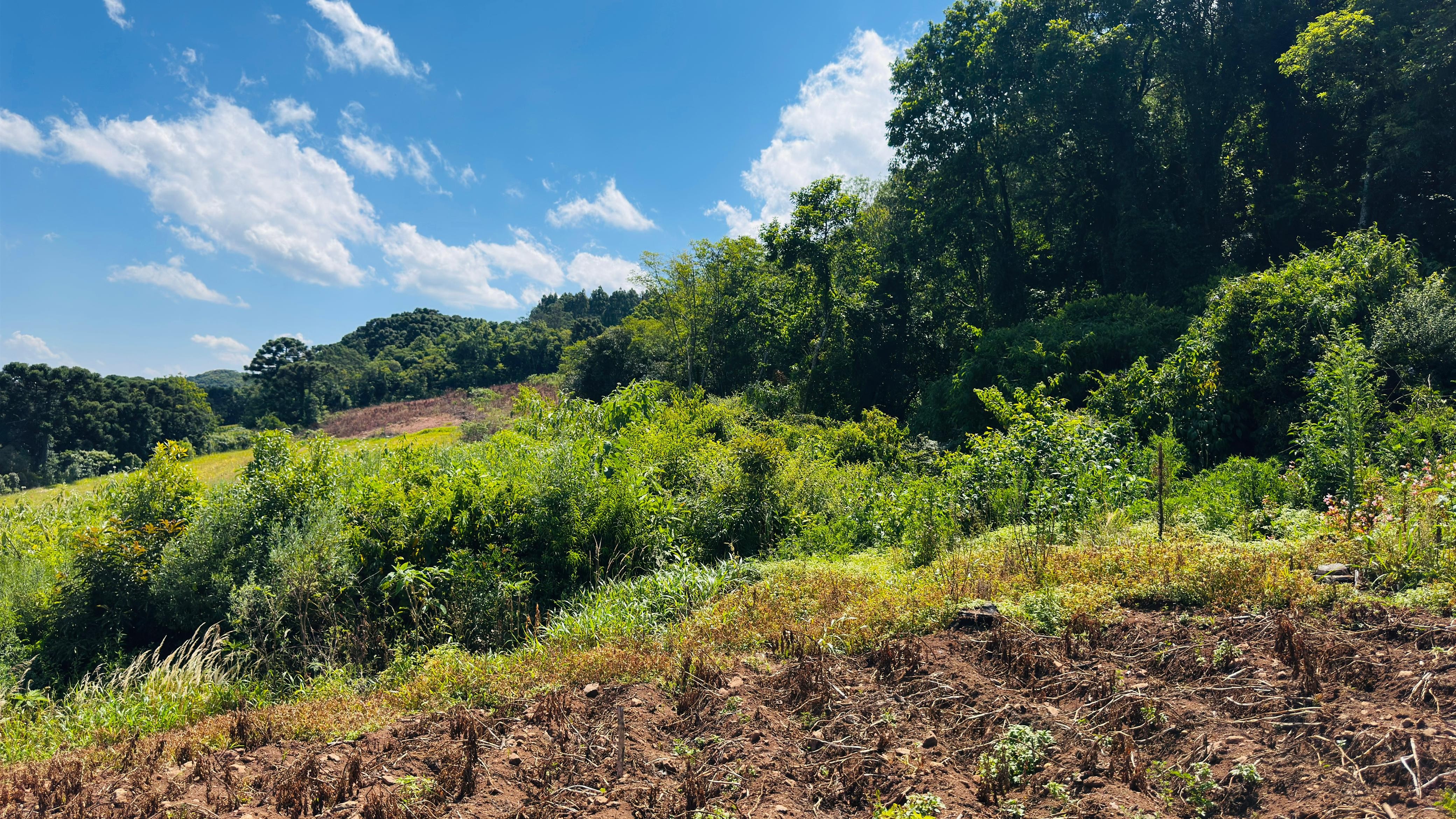Sítio / Chácara 2 quartos para Venda no bairro Alto Padre Eterno em Santa Maria do Herval