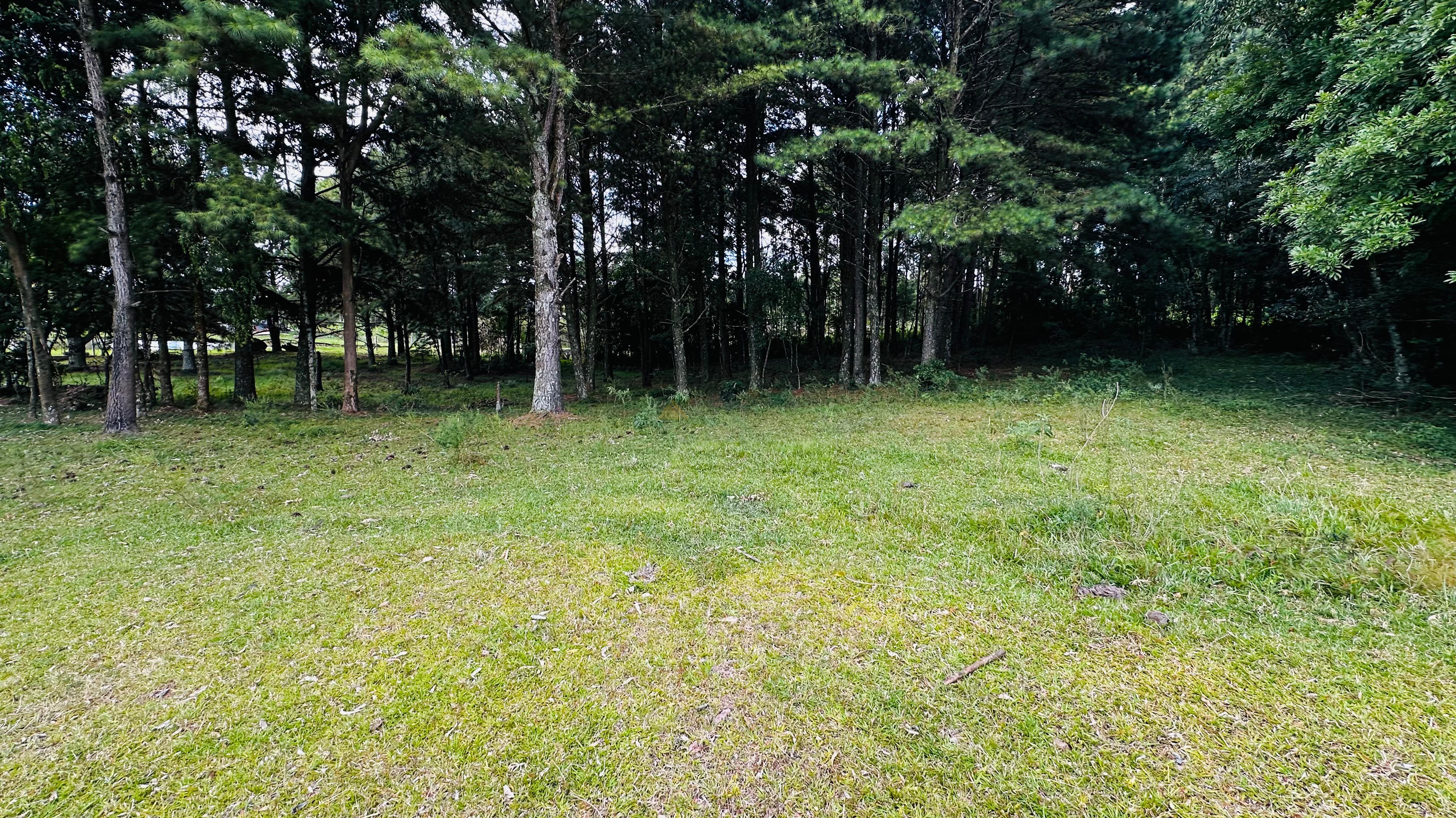 Sítio / Chácara para Venda no bairro Alto Padre Eterno em Santa Maria do Herval