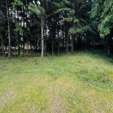 Sítio / Chácara para Venda no bairro Alto Padre Eterno em Santa Maria do Herval Sítio / Chácara para Venda no bairro Alto Padre Eterno em Santa Maria do Herval