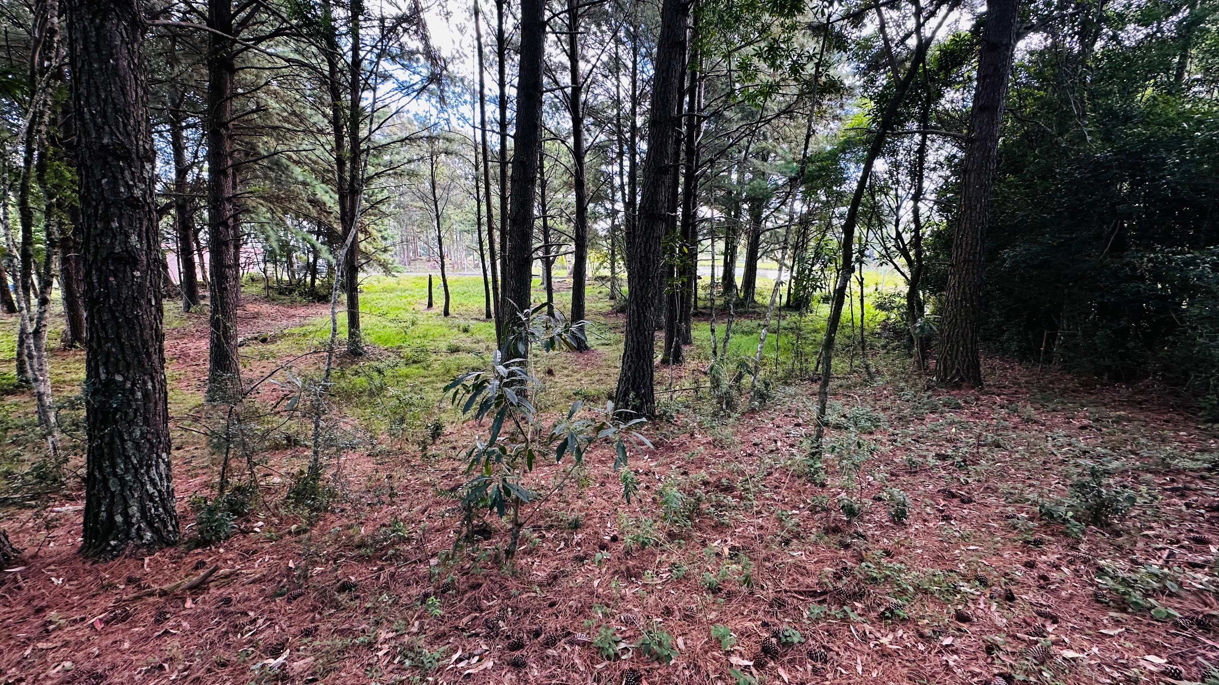 Sítio / Chácara para Venda no bairro Alto Padre Eterno em Santa Maria do Herval