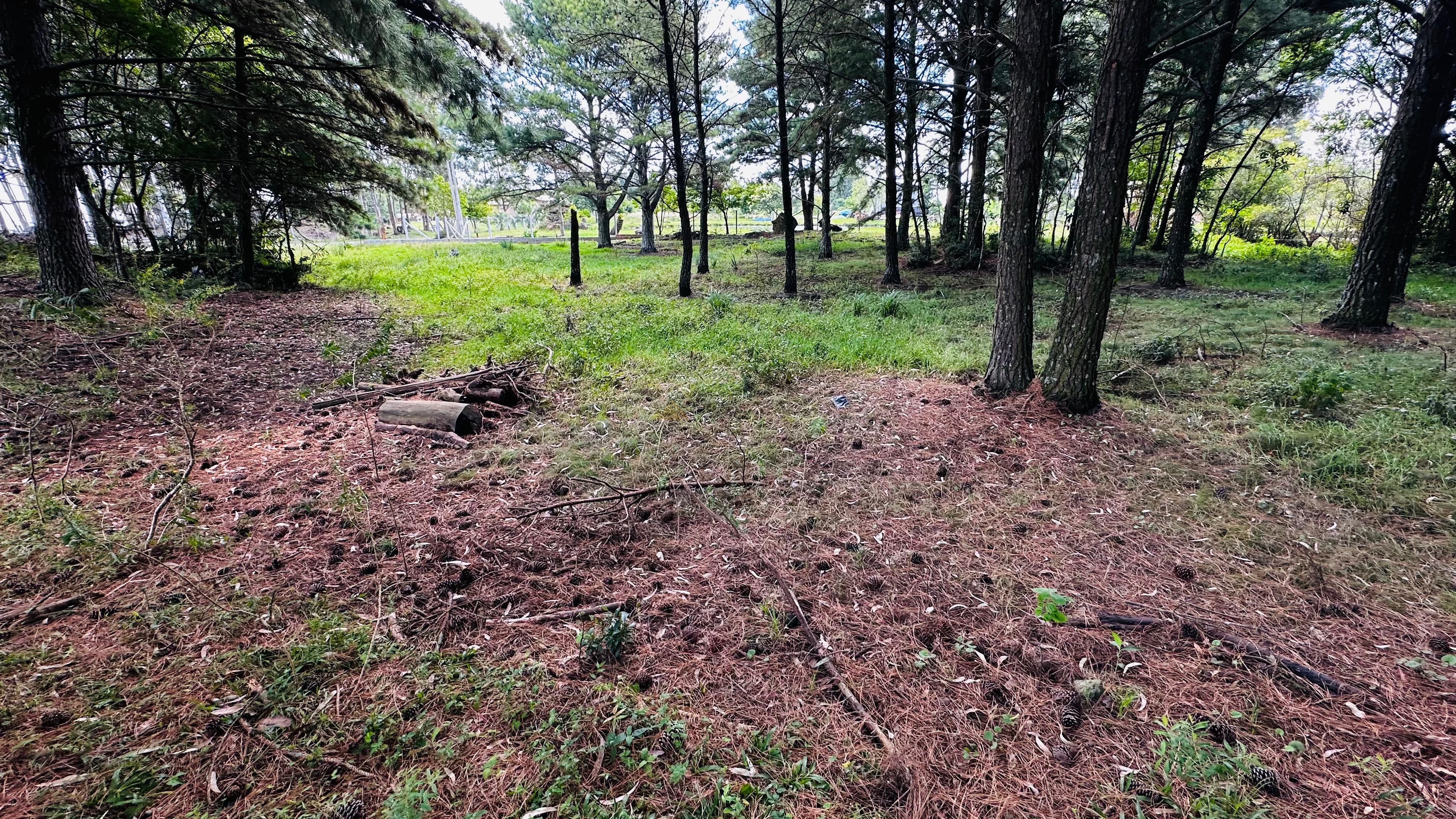 Sítio / Chácara para Venda no bairro Alto Padre Eterno em Santa Maria do Herval
