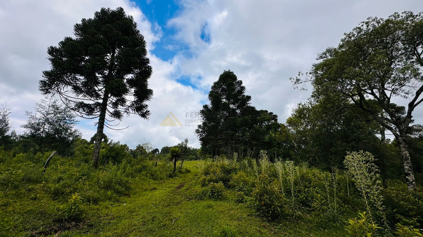 Sítio / Chácara para Venda no bairro Serra Grande em Três Coroas
