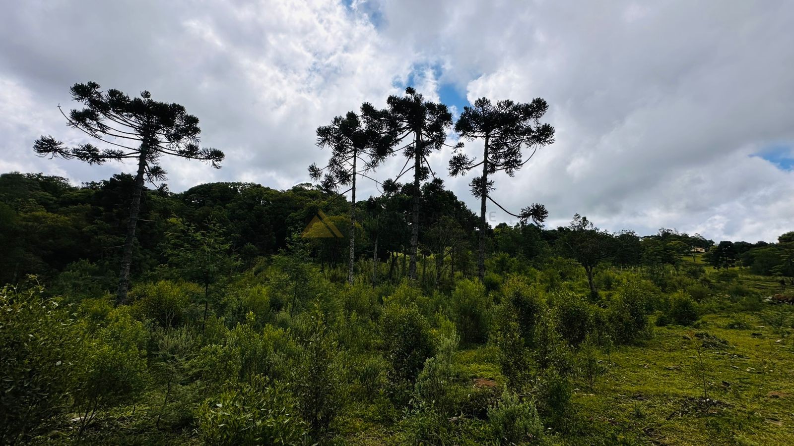 Sítio / Chácara para Venda no bairro Serra Grande em Três Coroas