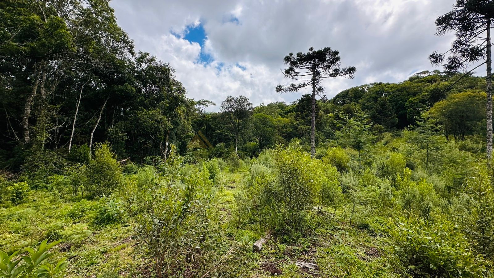 Sítio / Chácara para Venda no bairro Serra Grande em Três Coroas