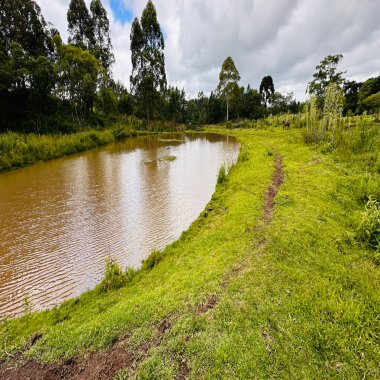 Sítio / Chácara para Venda no bairro Serra Grande em Três Coroas