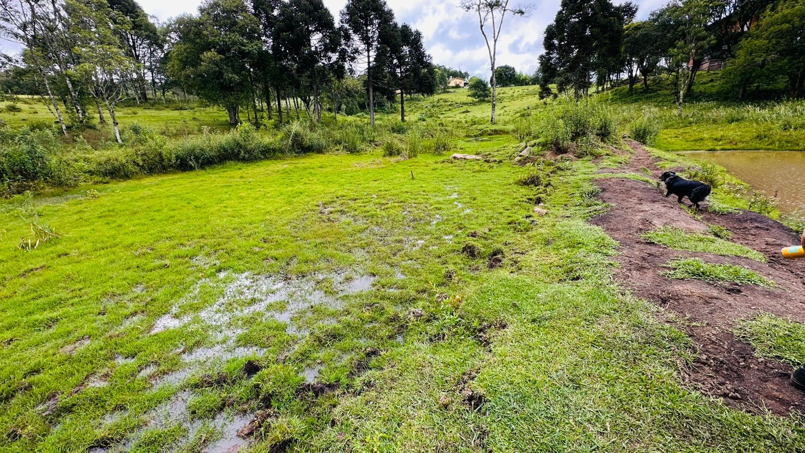 Sítio / Chácara para Venda no bairro Serra Grande em Três Coroas