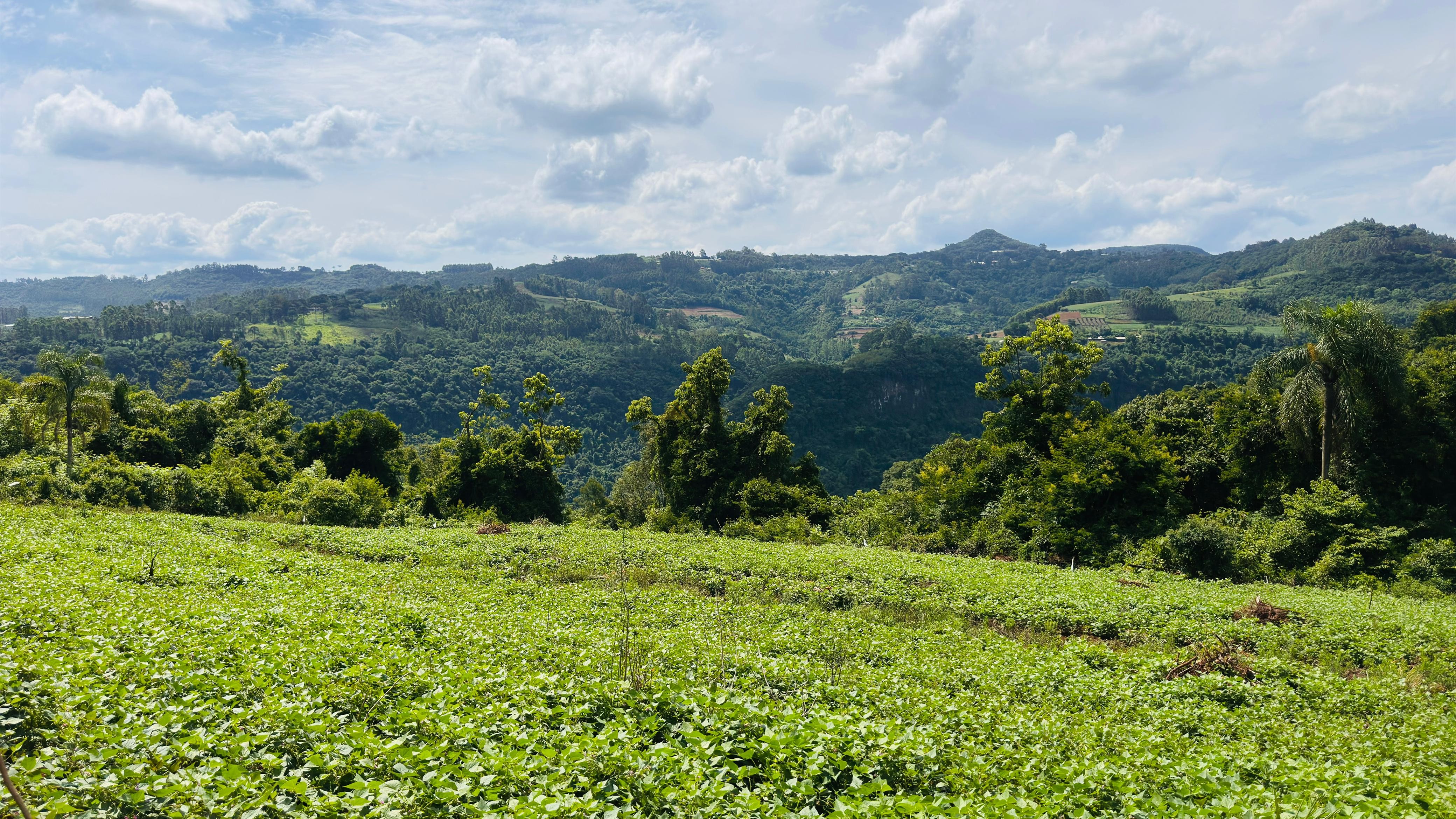 Sítio / Chácara para Venda no bairro Boa Vista do Herval em Santa Maria do Herval