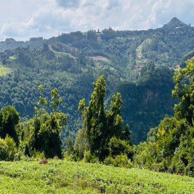 Sítio / Chácara para Venda no bairro Boa Vista do Herval em Santa Maria do Herval