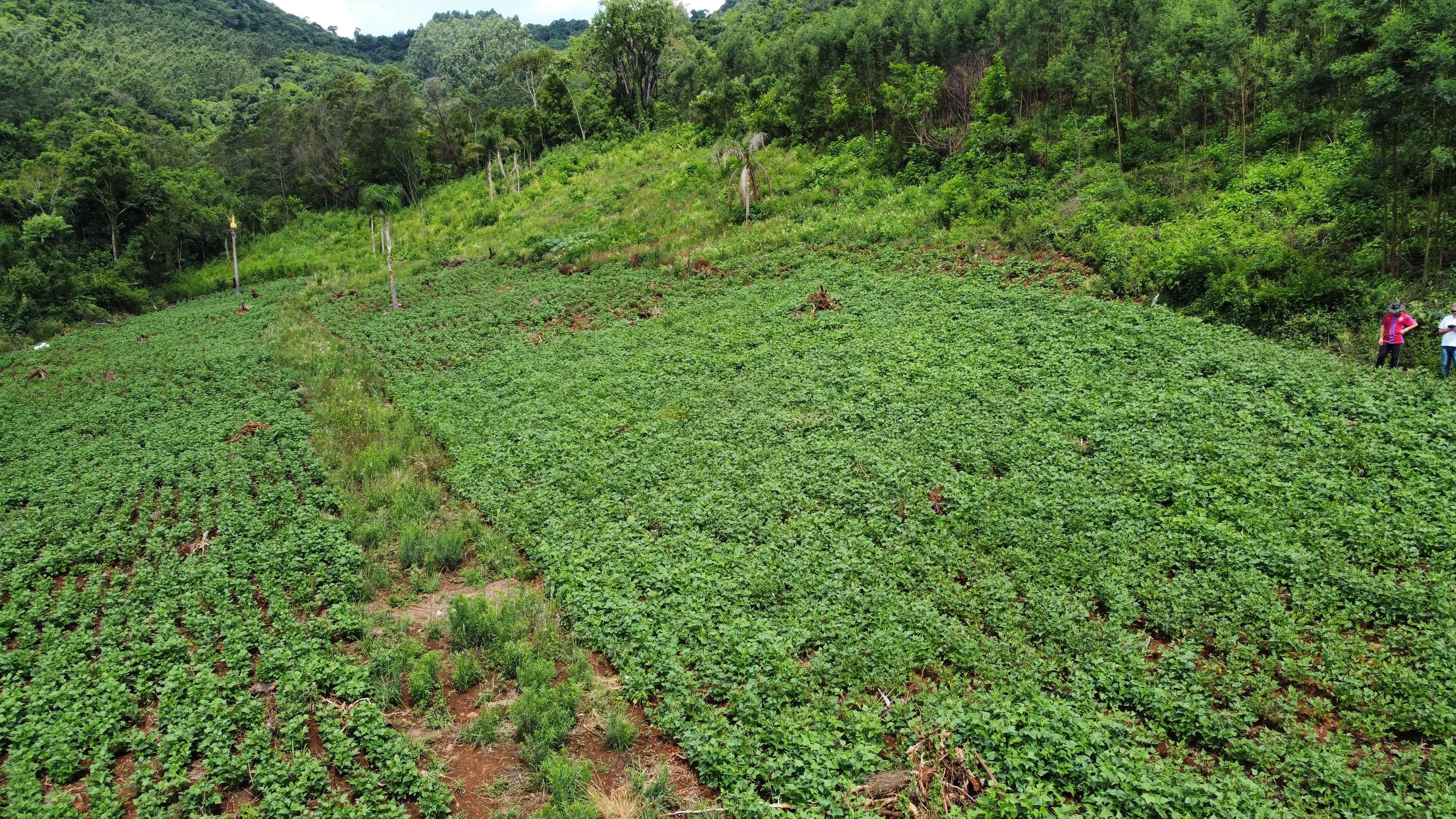 Sítio / Chácara para Venda no bairro Boa Vista do Herval em Santa Maria do Herval