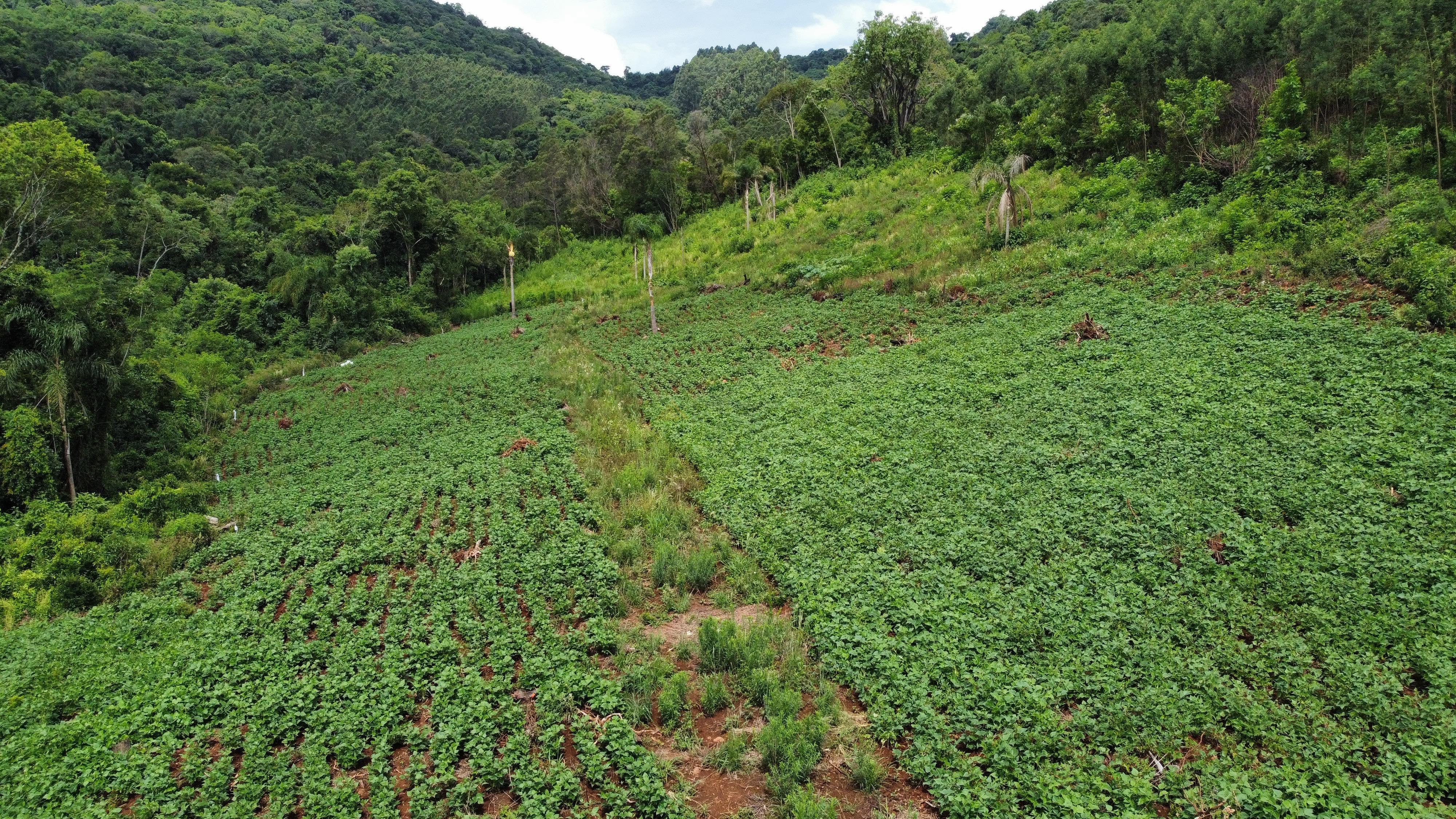 Sítio / Chácara para Venda no bairro Boa Vista do Herval em Santa Maria do Herval