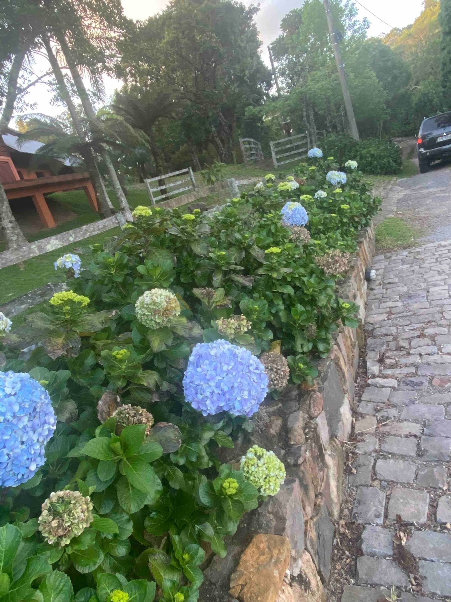 Sítio / Chácara 4 quartos para Venda no bairro Serra Grande em Três Coroas