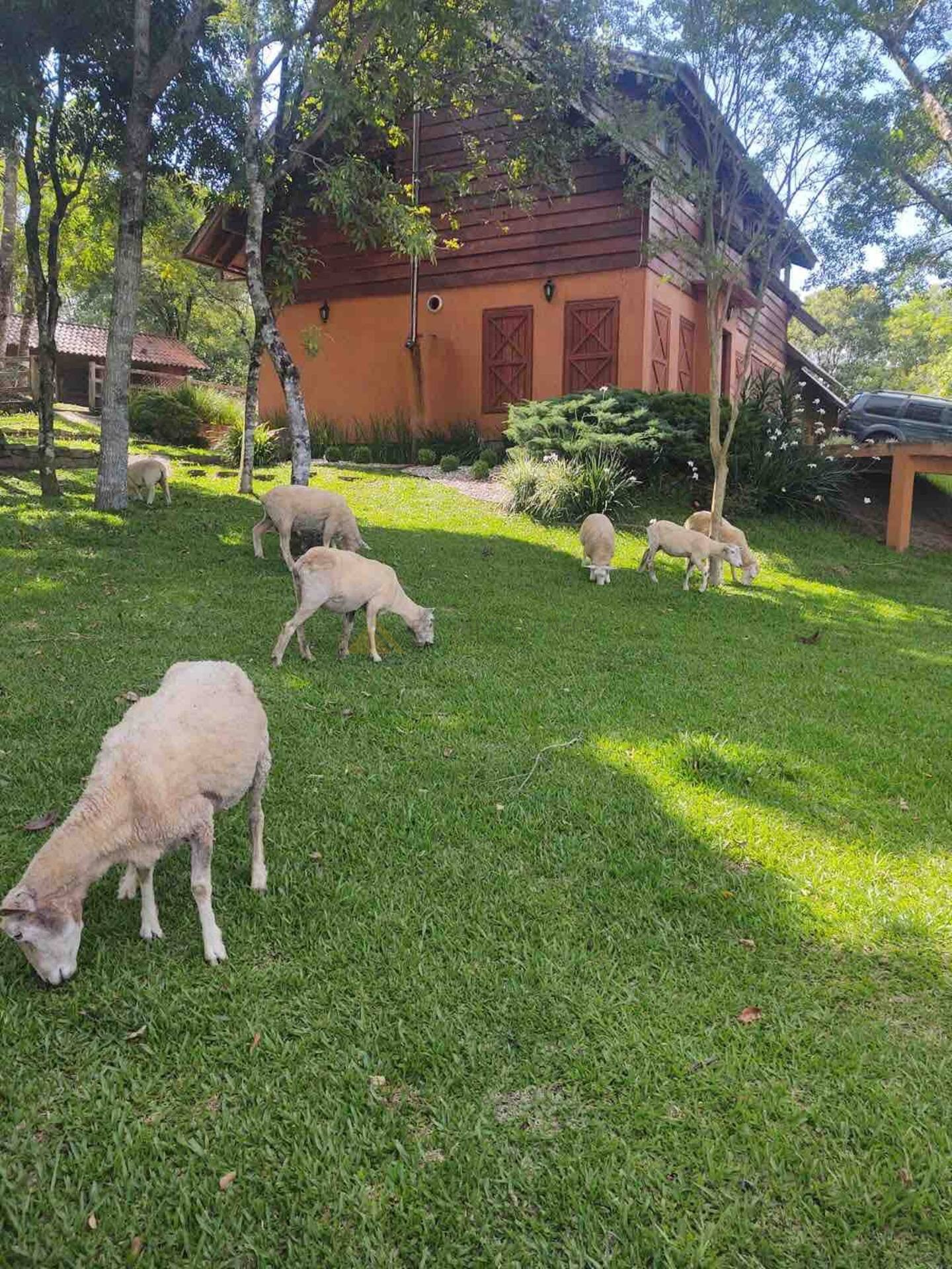 Sítio / Chácara 4 quartos para Venda no bairro Serra Grande em Três Coroas