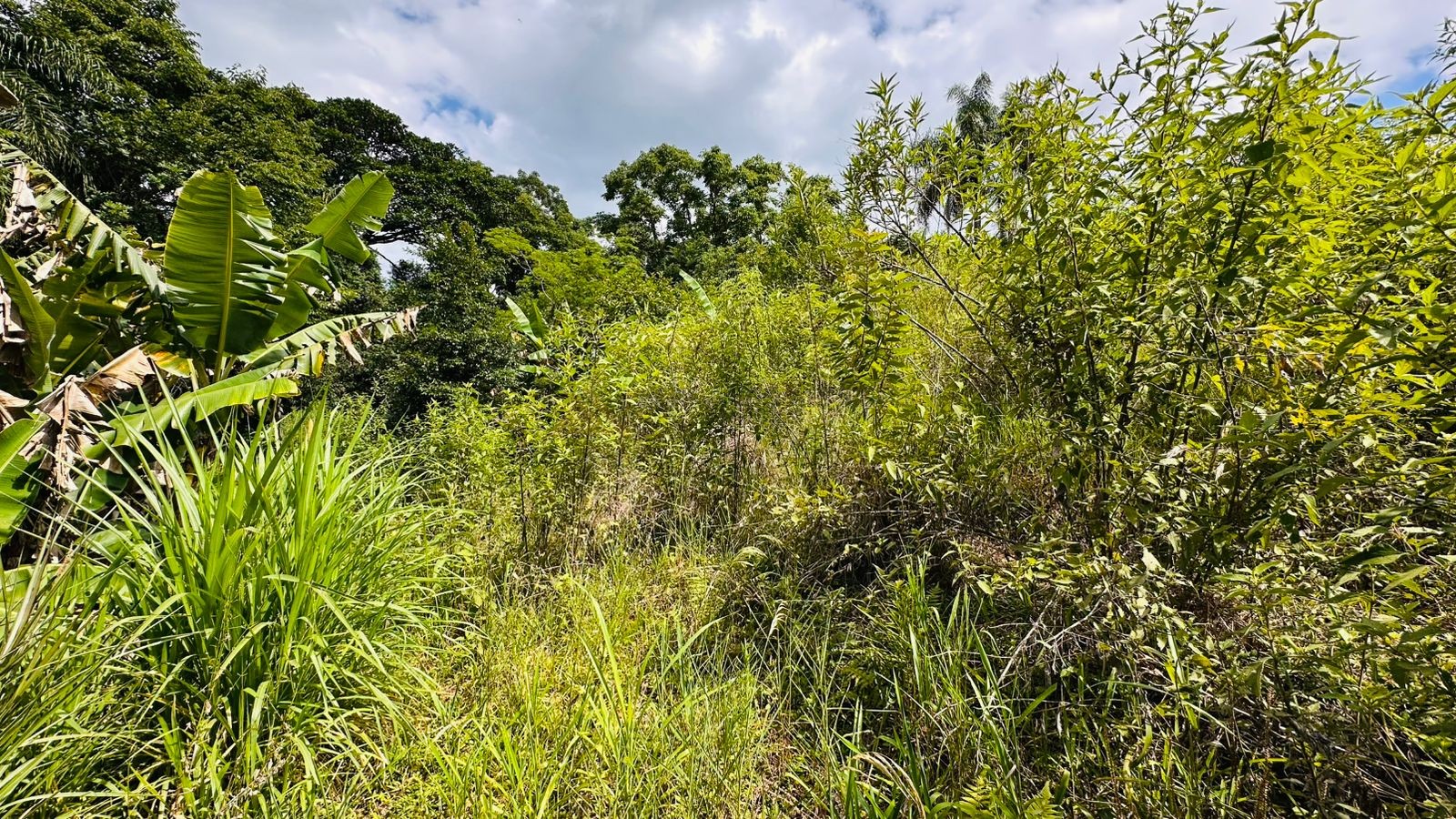 Sítio / Chácara 1 quarto para Venda no bairro Serra Grande em Três Coroas