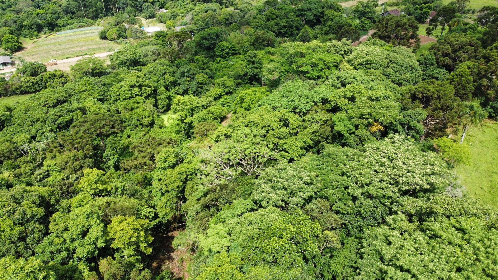 Sítio / Chácara 1 quarto para Venda no bairro Serra Grande em Três Coroas