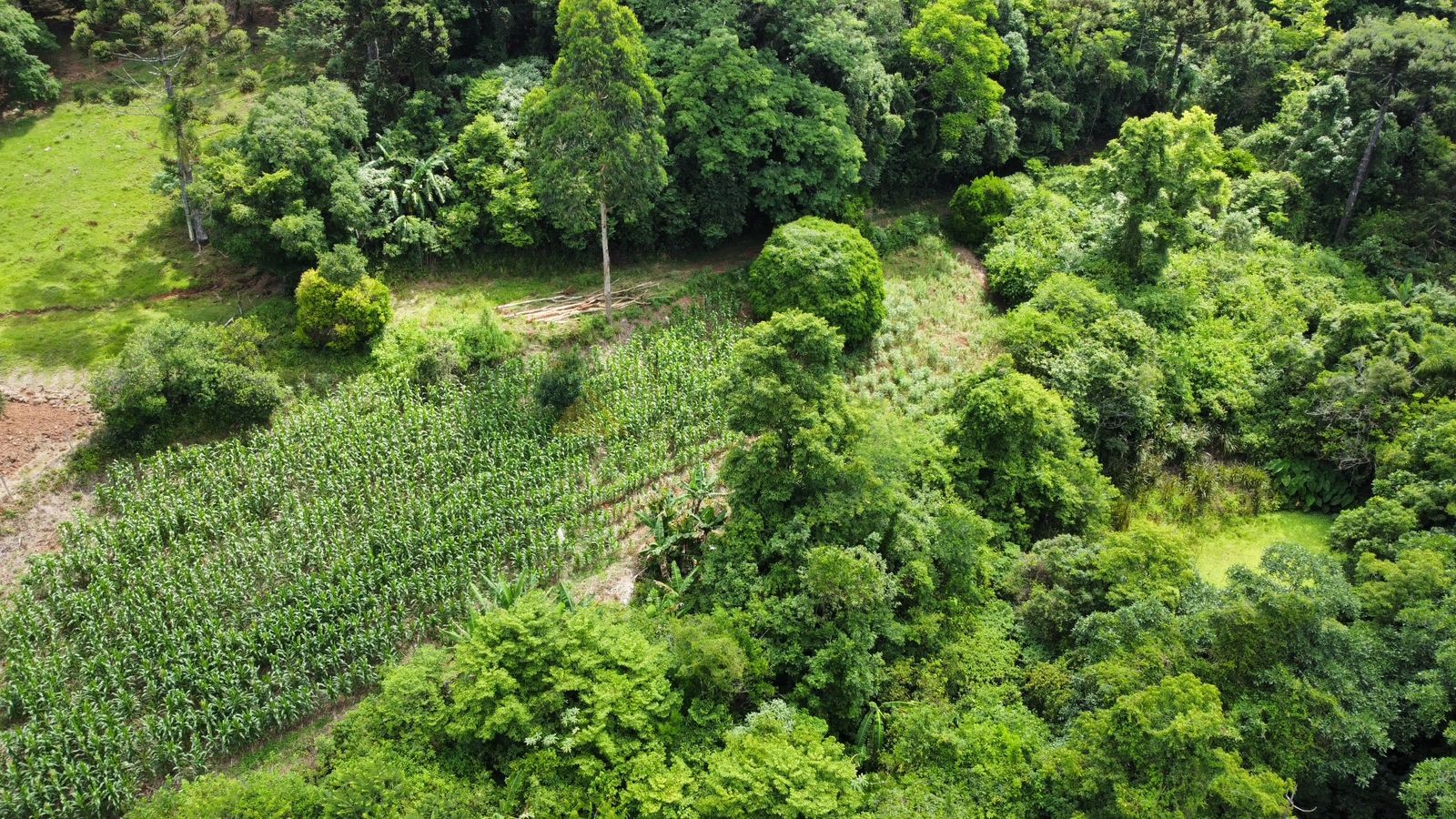 Sítio / Chácara 1 quarto para Venda no bairro Serra Grande em Três Coroas