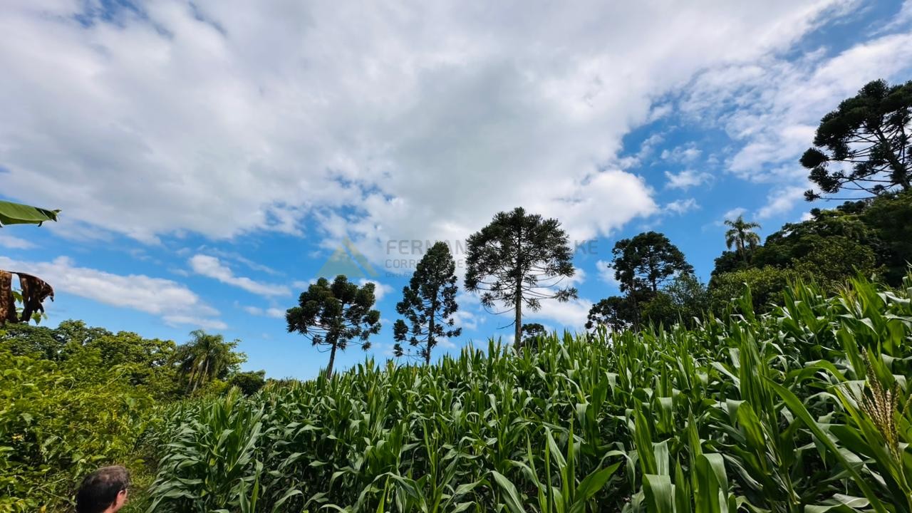 Sítio / Chácara 1 quarto para Venda no bairro Serra Grande em Três Coroas