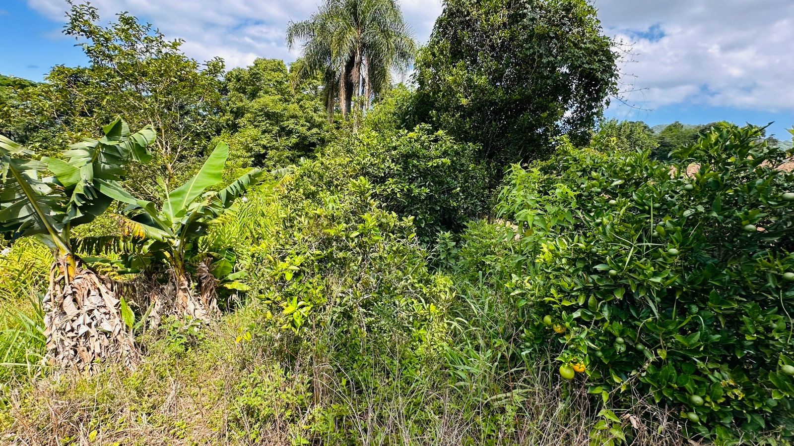 Sítio / Chácara 1 quarto para Venda no bairro Serra Grande em Três Coroas
