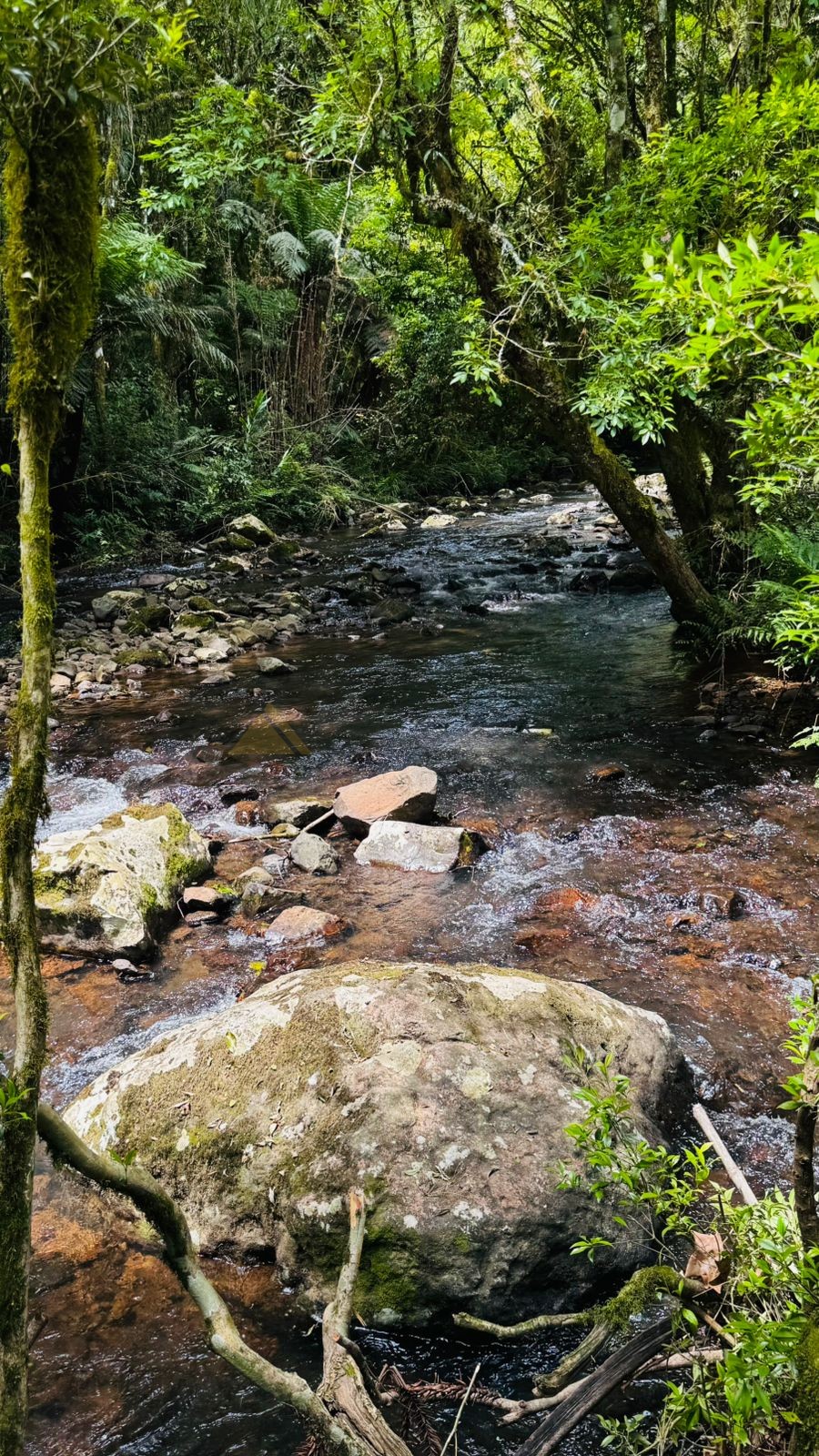 Sítio / Chácara para Venda no bairro Serra Grande em Igrejinha