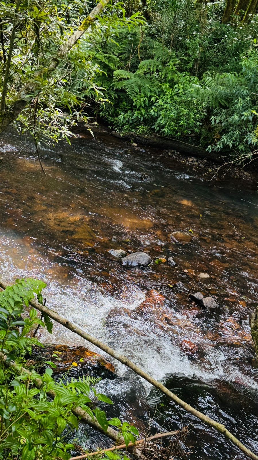 Sítio / Chácara para Venda no bairro Serra Grande em Igrejinha