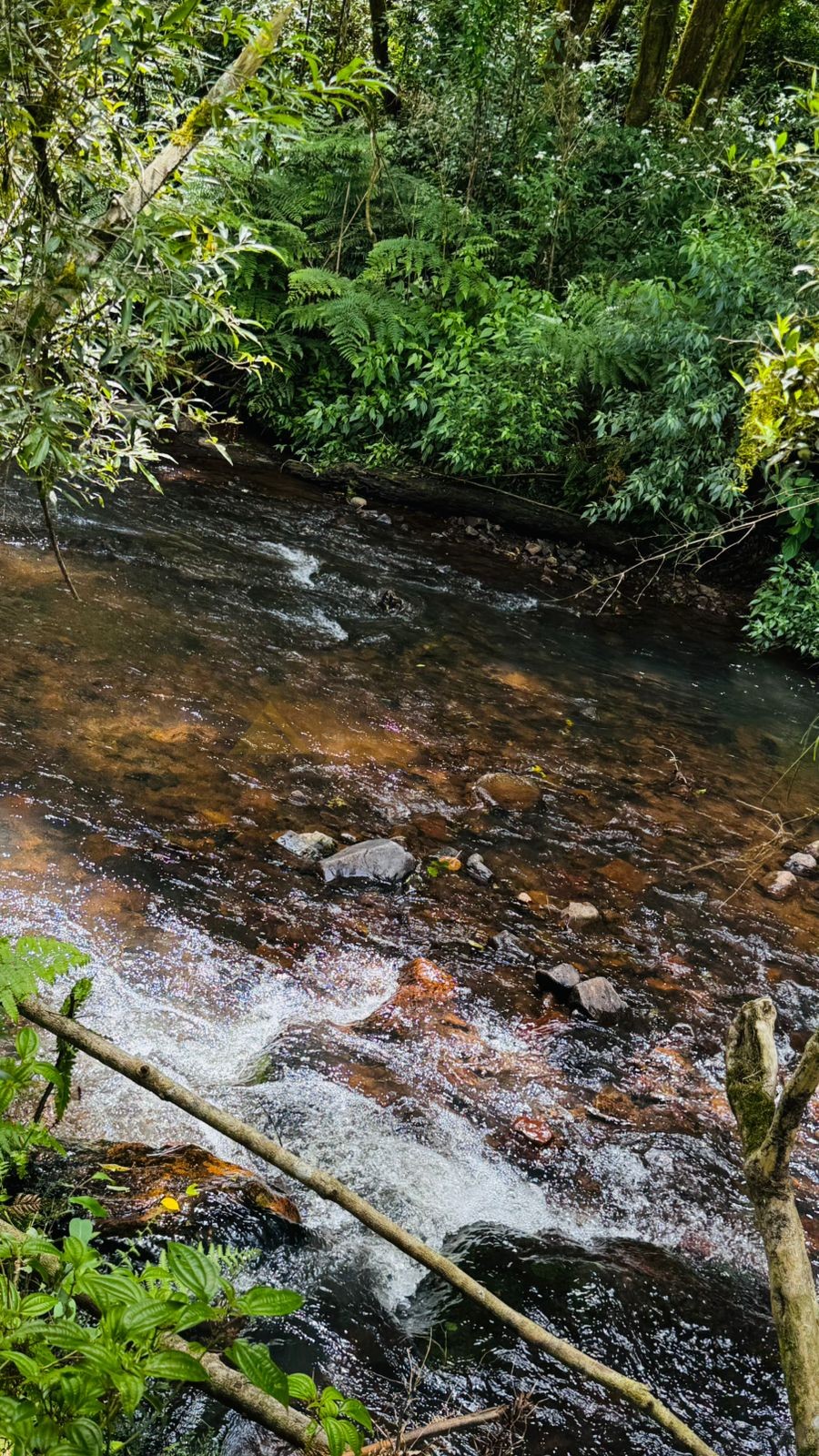 Sítio / Chácara para Venda no bairro Serra Grande em Igrejinha