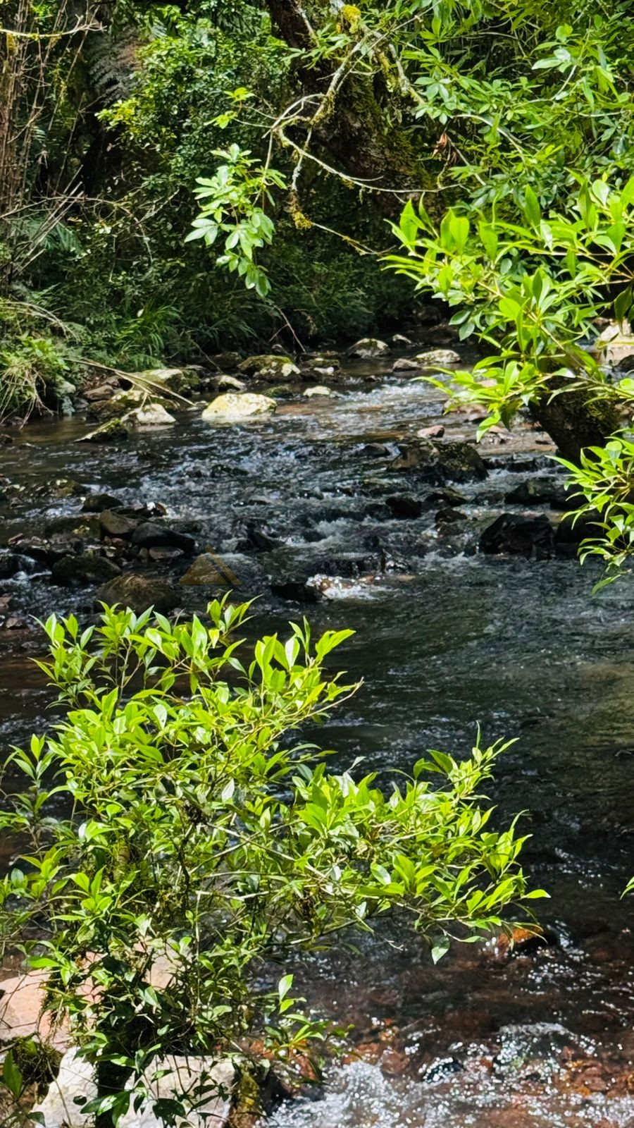 Sítio / Chácara para Venda no bairro Serra Grande em Igrejinha