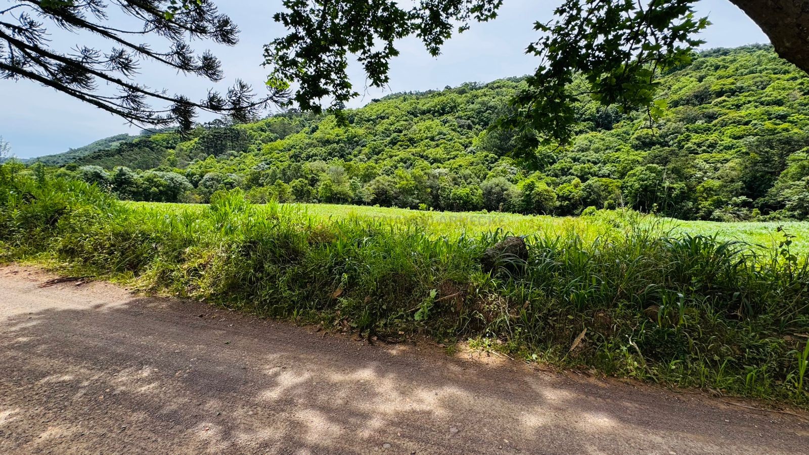 Sítio / Chácara para Venda no bairro Serra Grande em Igrejinha