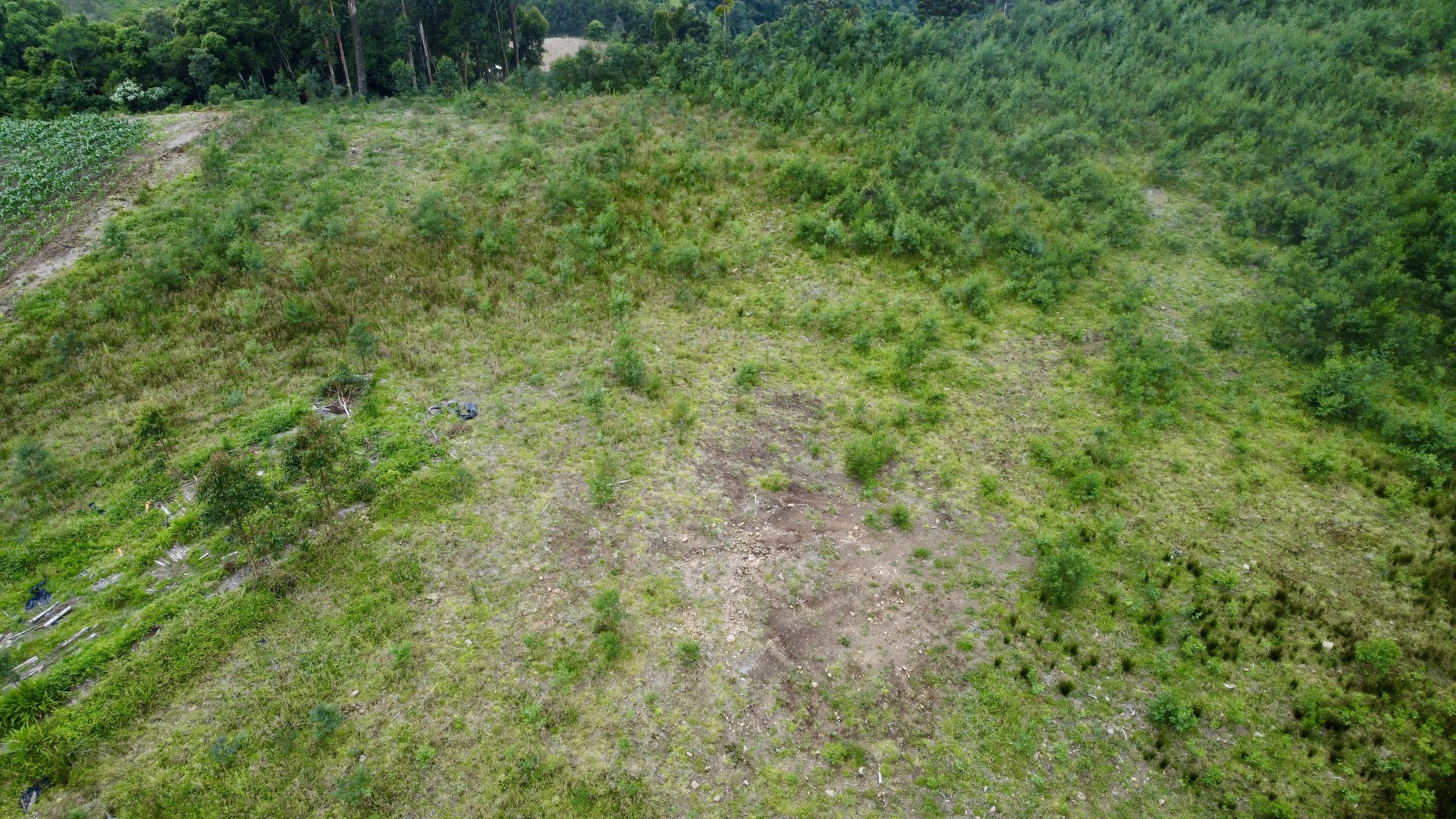 Sítio / Chácara para Venda no bairro Padre Eterno Ilges em Santa Maria do Herval