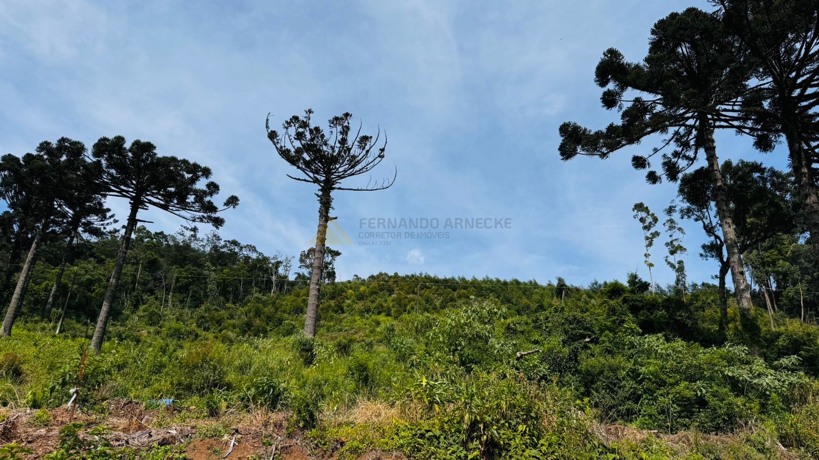 Sítio / Chácara para Venda no bairro Padre Eterno Ilges em Santa Maria do Herval
