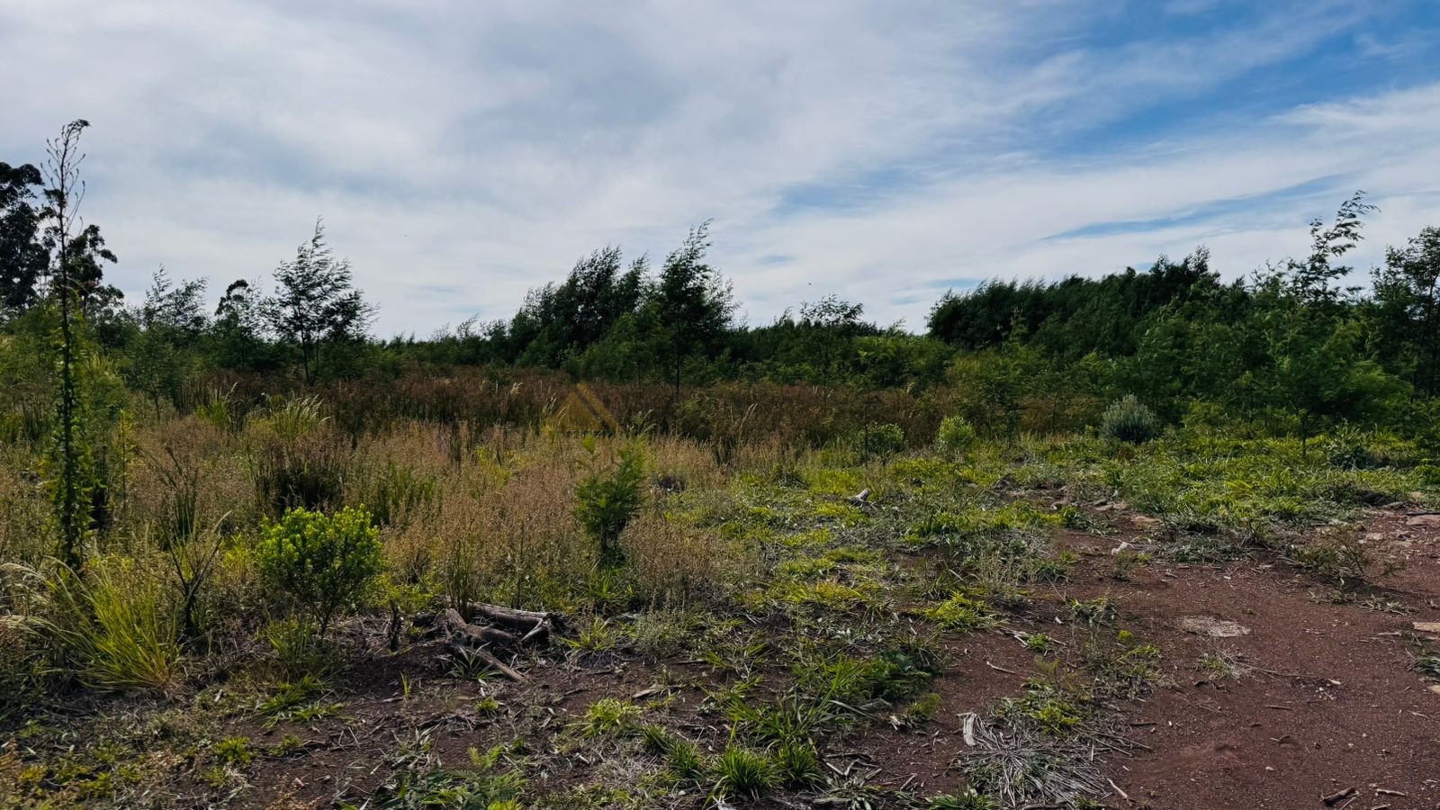 Sítio / Chácara para Venda no bairro Padre Eterno Ilges em Santa Maria do Herval