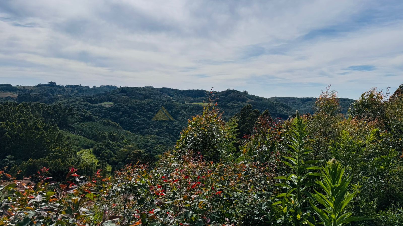 Sítio / Chácara para Venda no bairro Padre Eterno Ilges em Santa Maria do Herval
