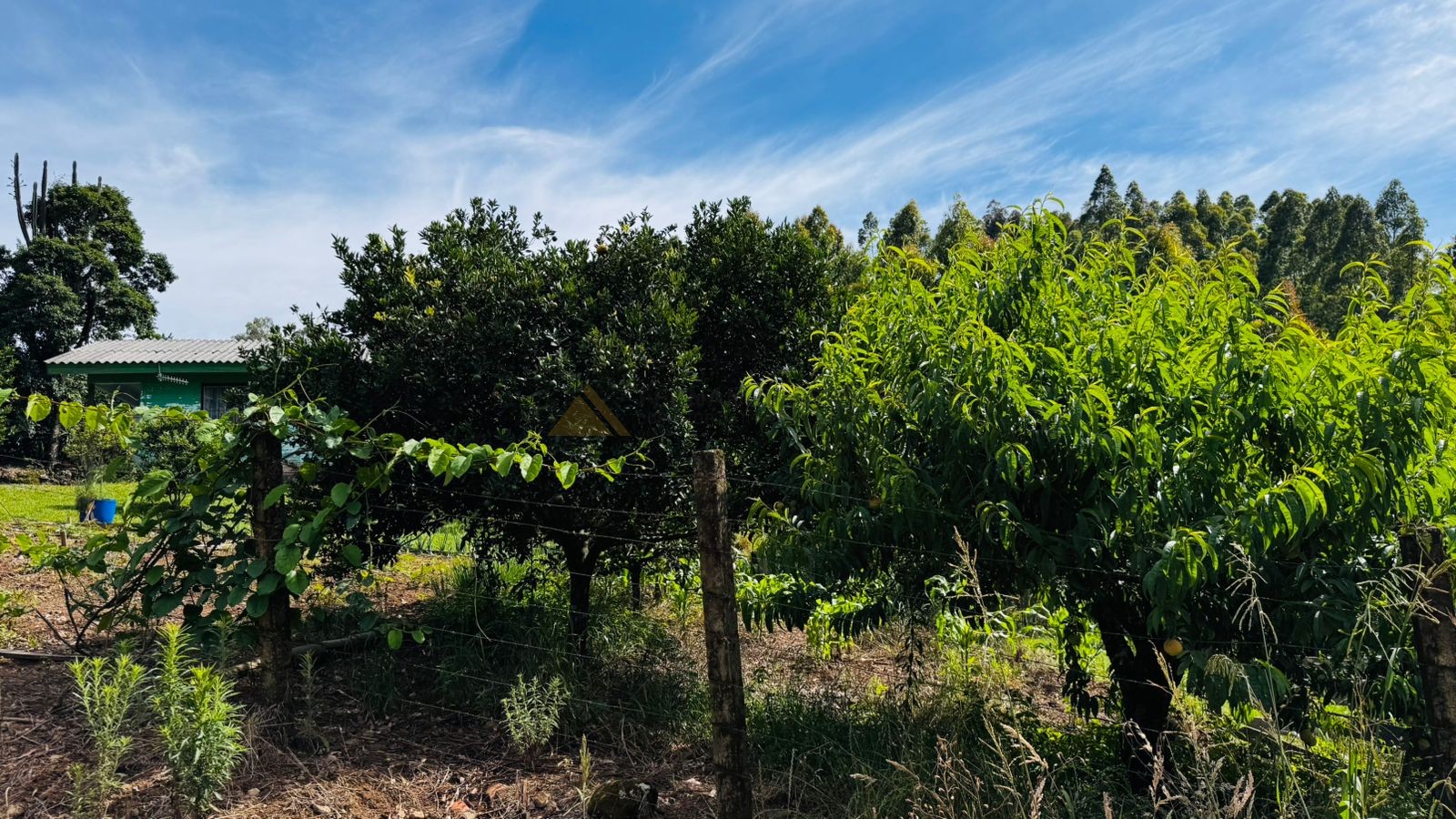 Sítio / Chácara 2 quartos para Venda no bairro Padre Eterno Ilges em Santa Maria do Herval