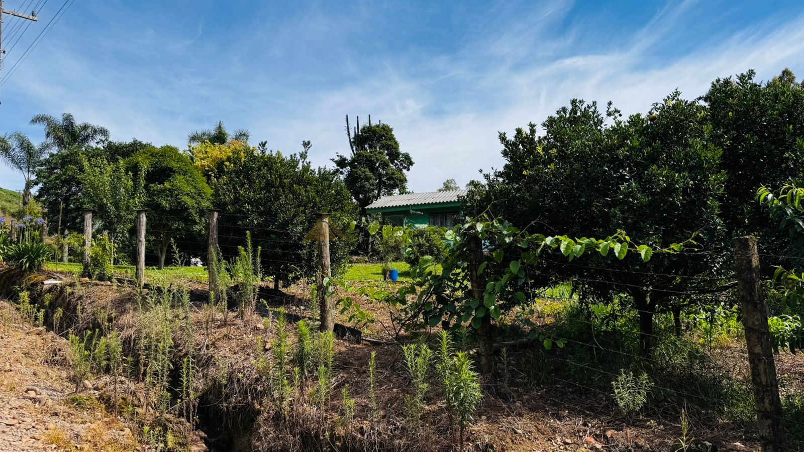 Sítio / Chácara 2 quartos para Venda no bairro Padre Eterno Ilges em Santa Maria do Herval