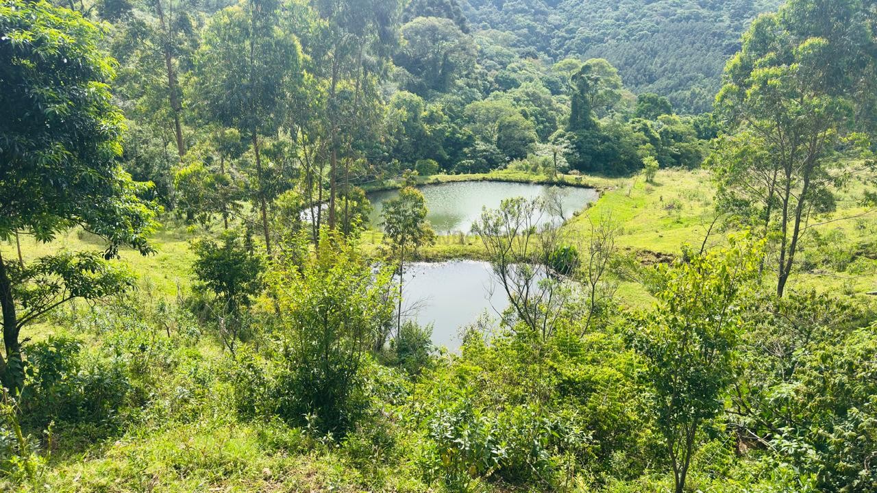 Sítio / Chácara 2 quartos para Venda no bairro Padre Eterno Ilges em Santa Maria do Herval
