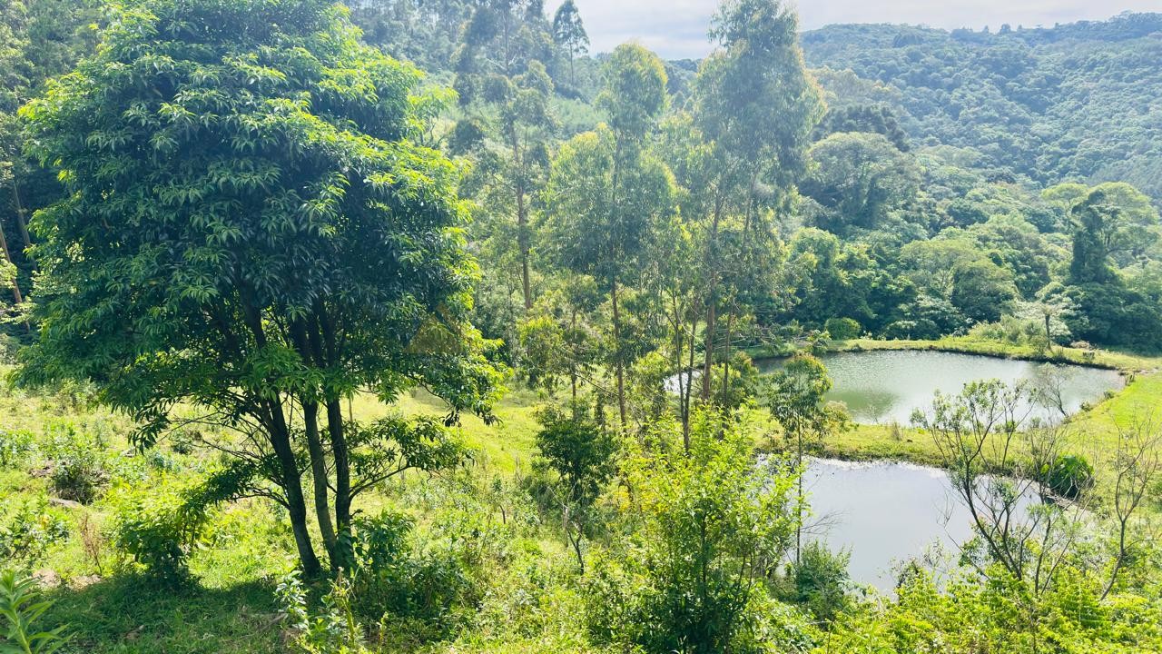 Sítio / Chácara 2 quartos para Venda no bairro Padre Eterno Ilges em Santa Maria do Herval