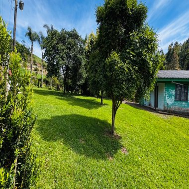 Sítio / Chácara 2 quartos para Venda no bairro Padre Eterno Ilges em Santa Maria do Herval Sítio / Chácara 2 quartos para Venda no bairro Padre Eterno Ilges em Santa Maria do Herval