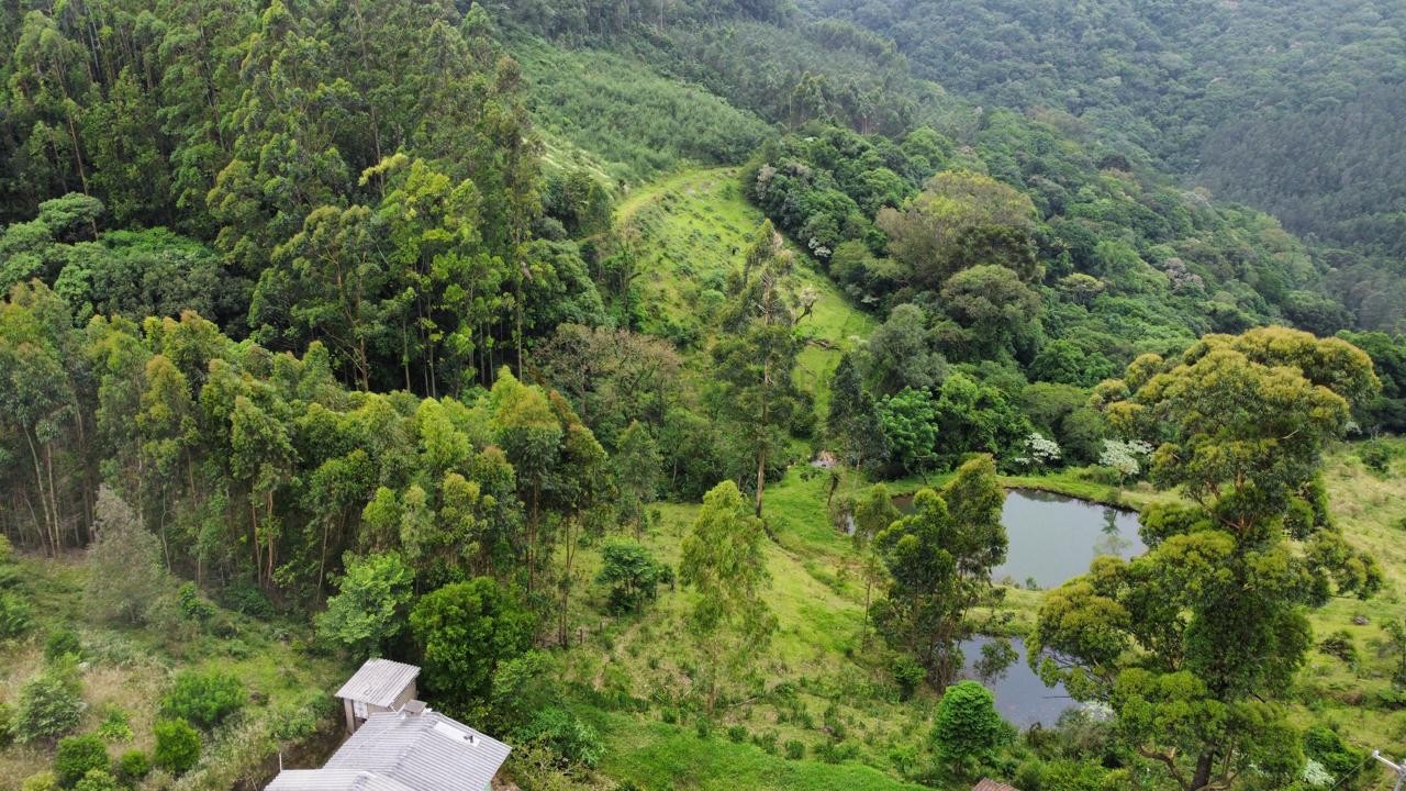 Sítio / Chácara 2 quartos para Venda no bairro Padre Eterno Ilges em Santa Maria do Herval